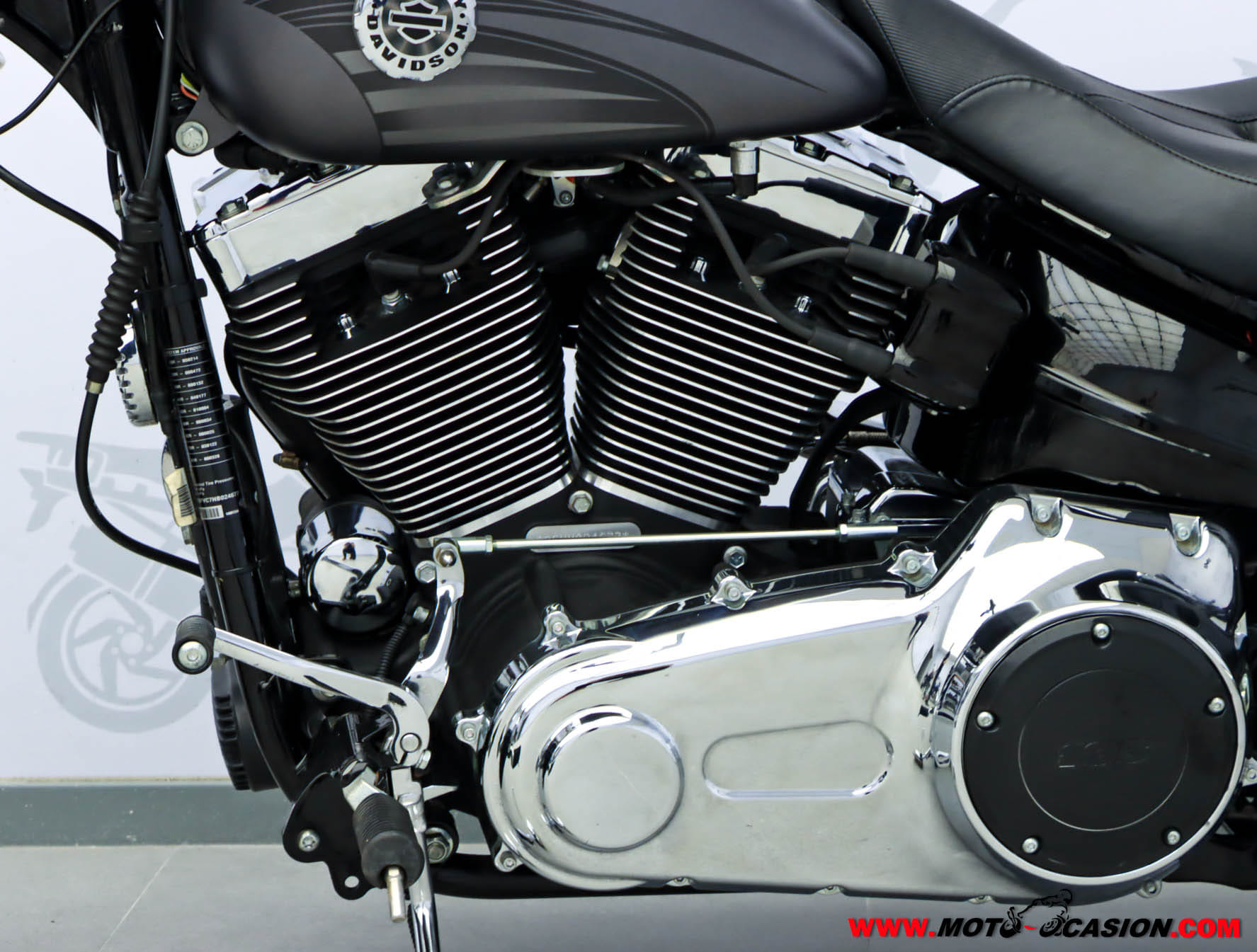 HARLEY-DAVIDSON BREAKOUT