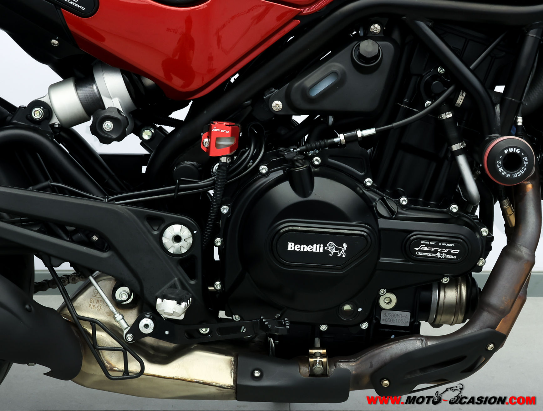 BENELLI LEONCINO 500 TRAIL -APTA A2
