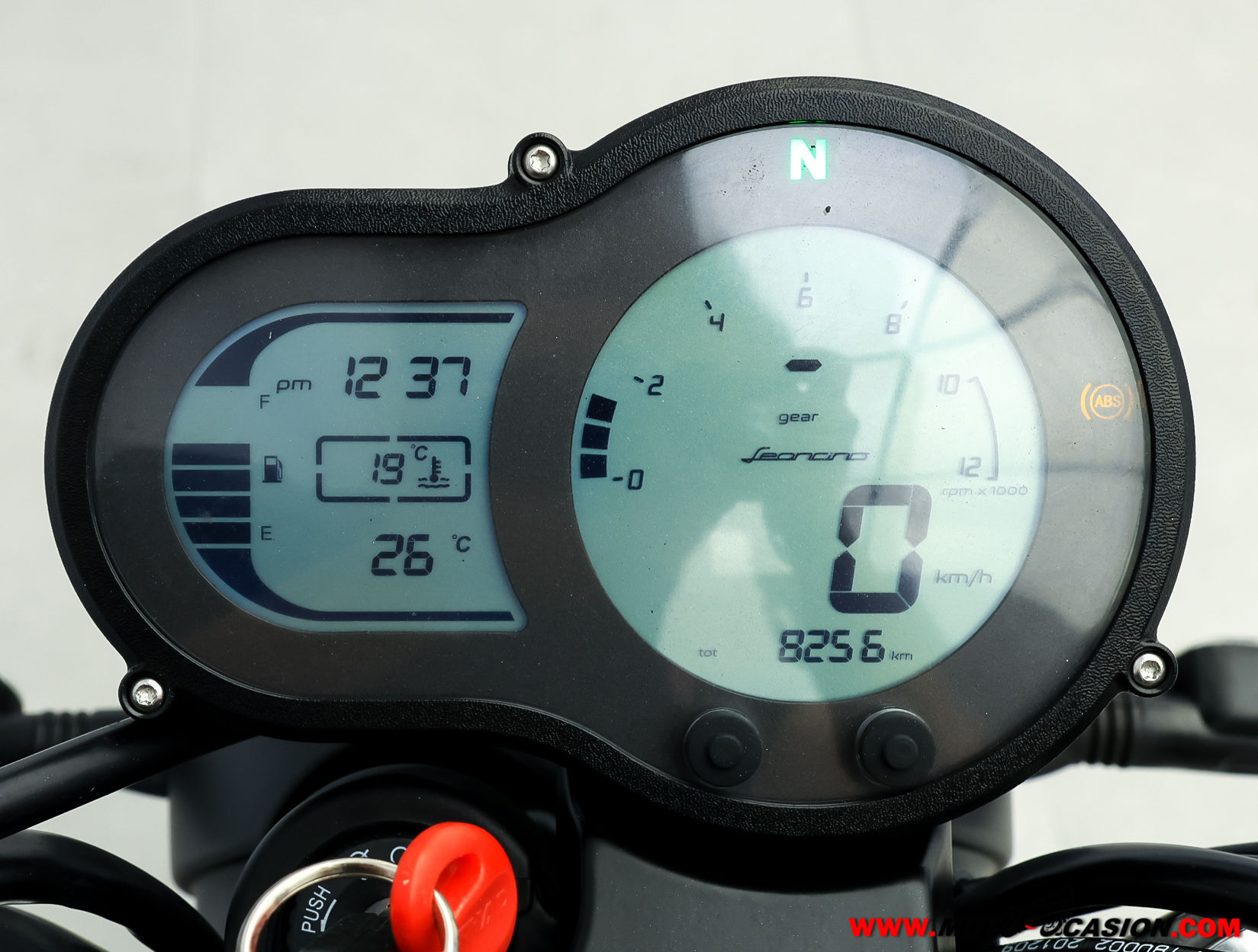 BENELLI LEONCINO 500 TRAIL -APTA A2