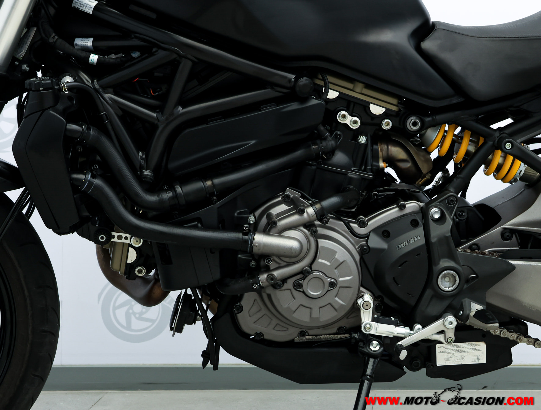 DUCATI MONSTER 821