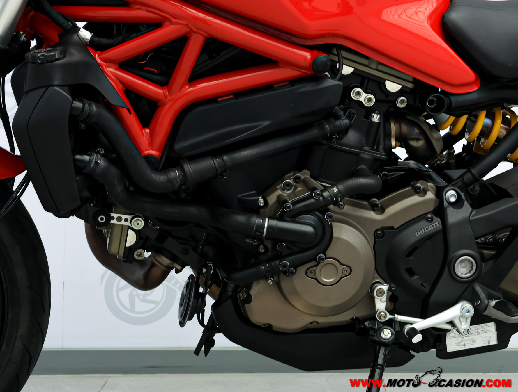 DUCATI MONSTER 821 (copia)