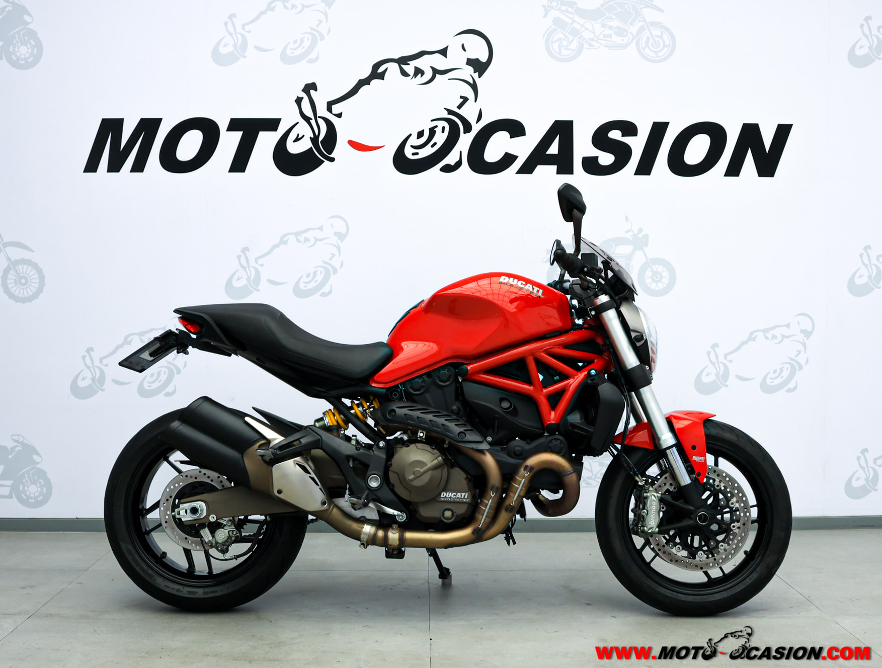 DUCATI MONSTER 821 (copia)