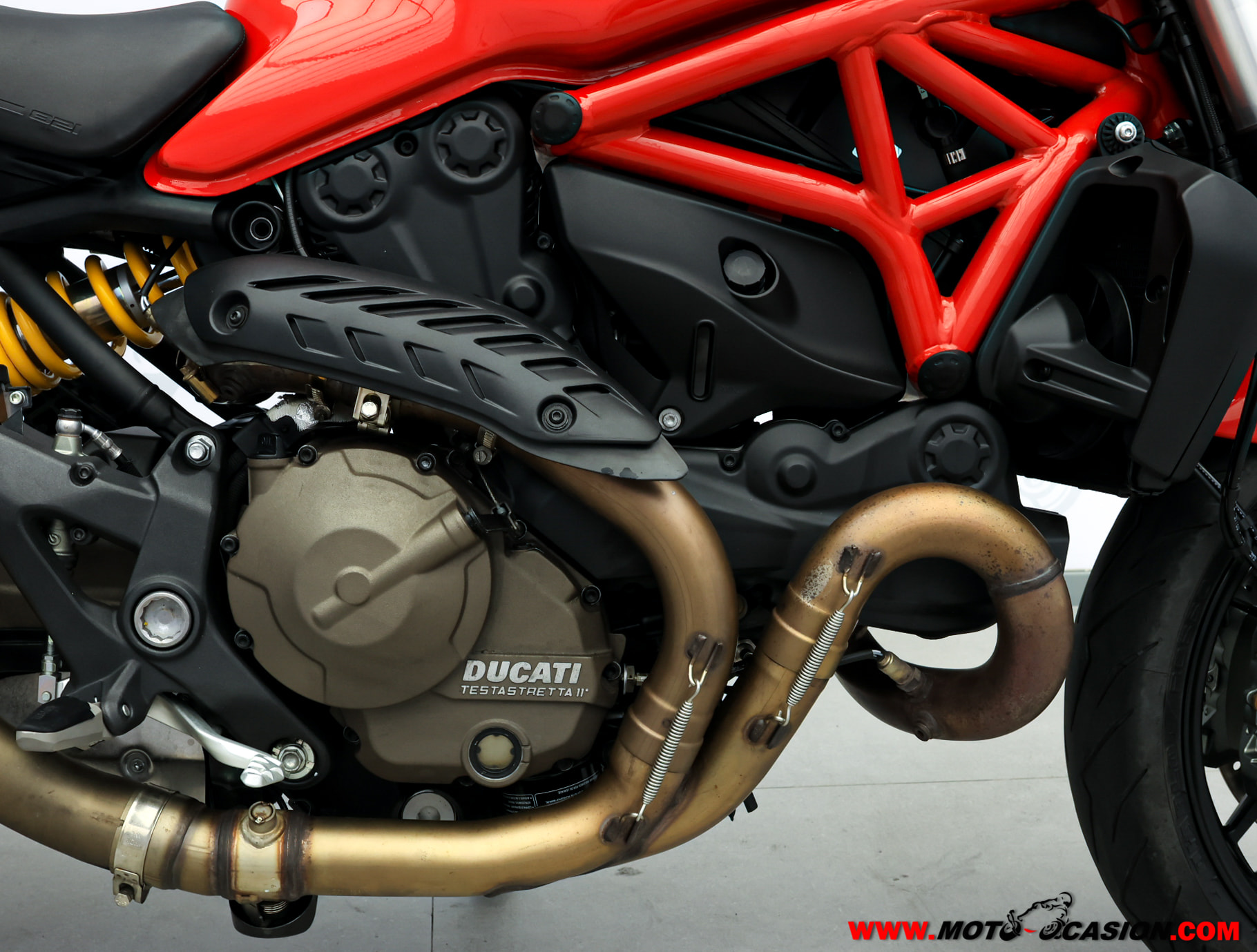 DUCATI MONSTER 821 (copia)