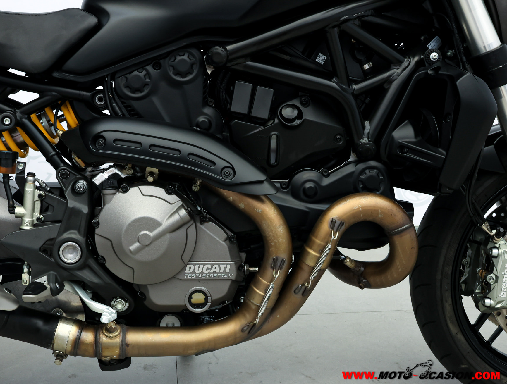 DUCATI MONSTER 821 (copia)