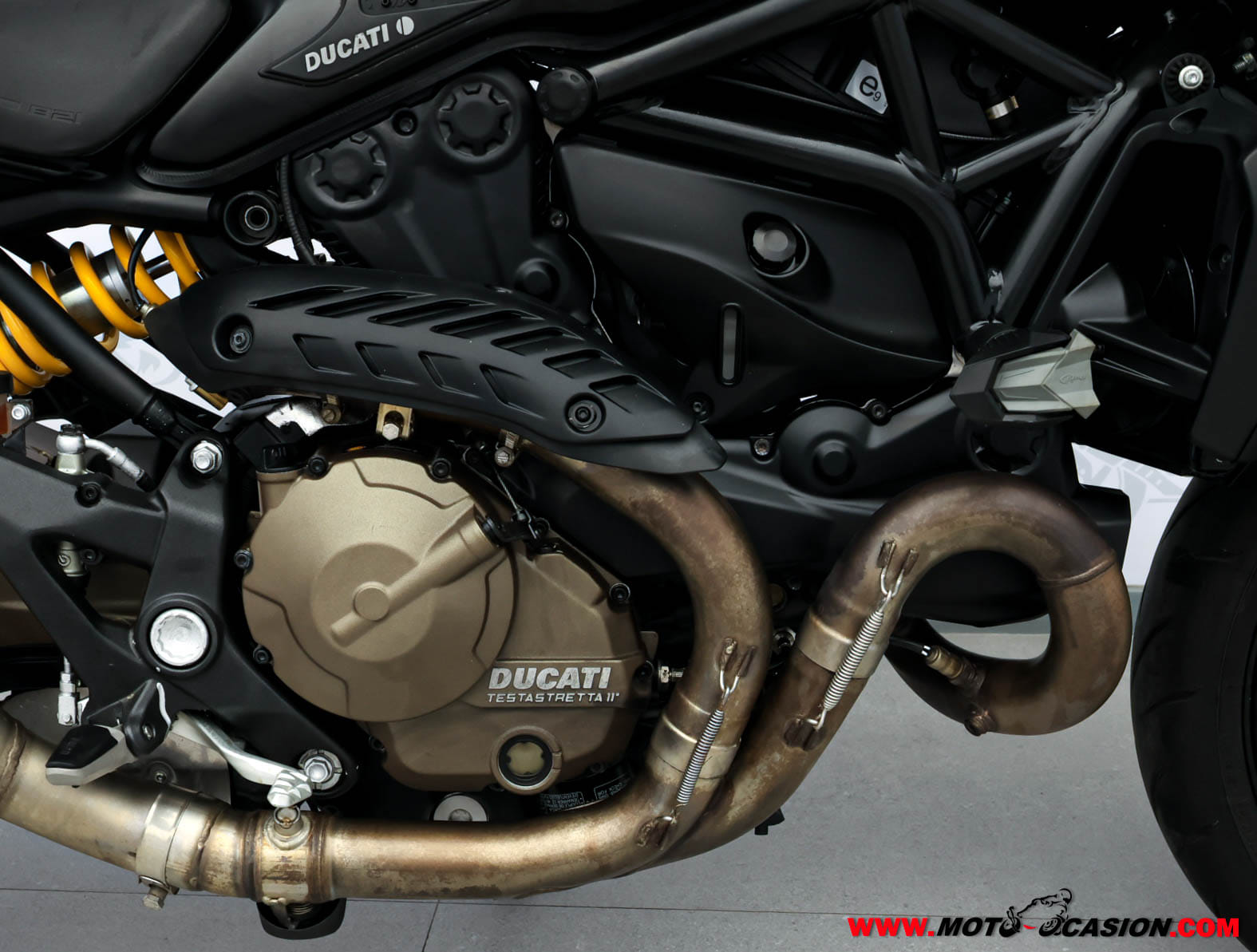 DUCATI MONSTER 821 (copia)
