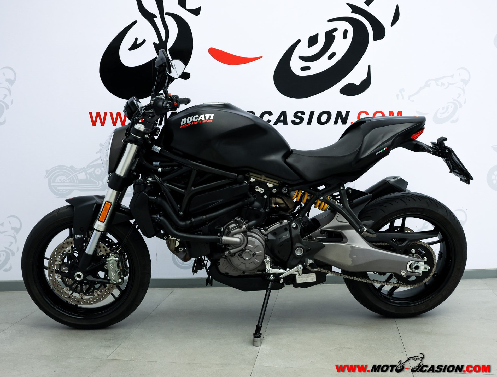 DUCATI MONSTER 821 (copia)