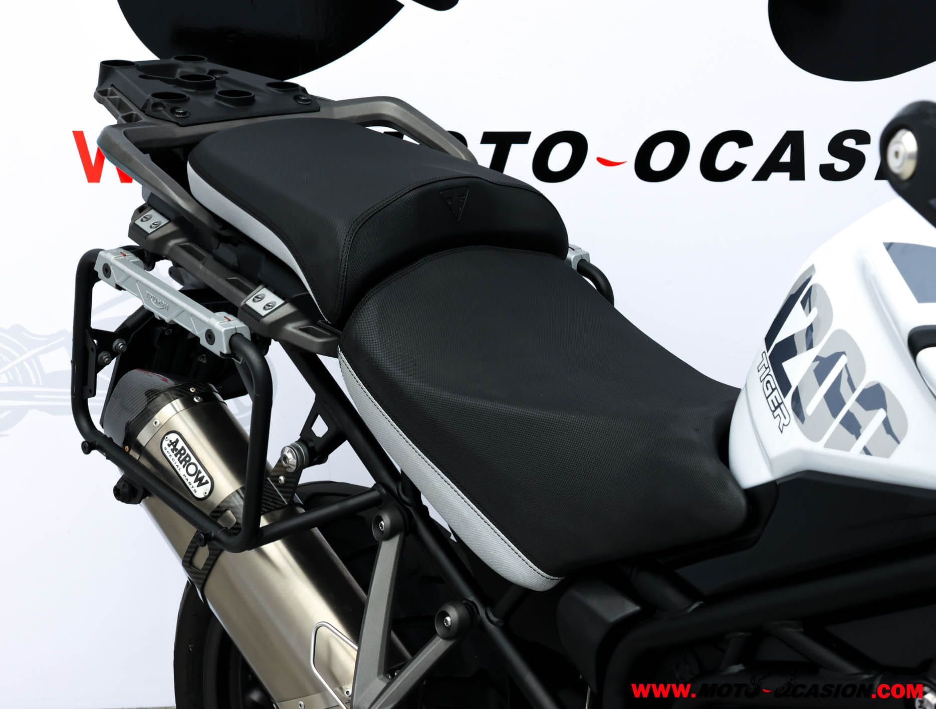 TRIUMPH TIGER 1200 ALPINE EDITION