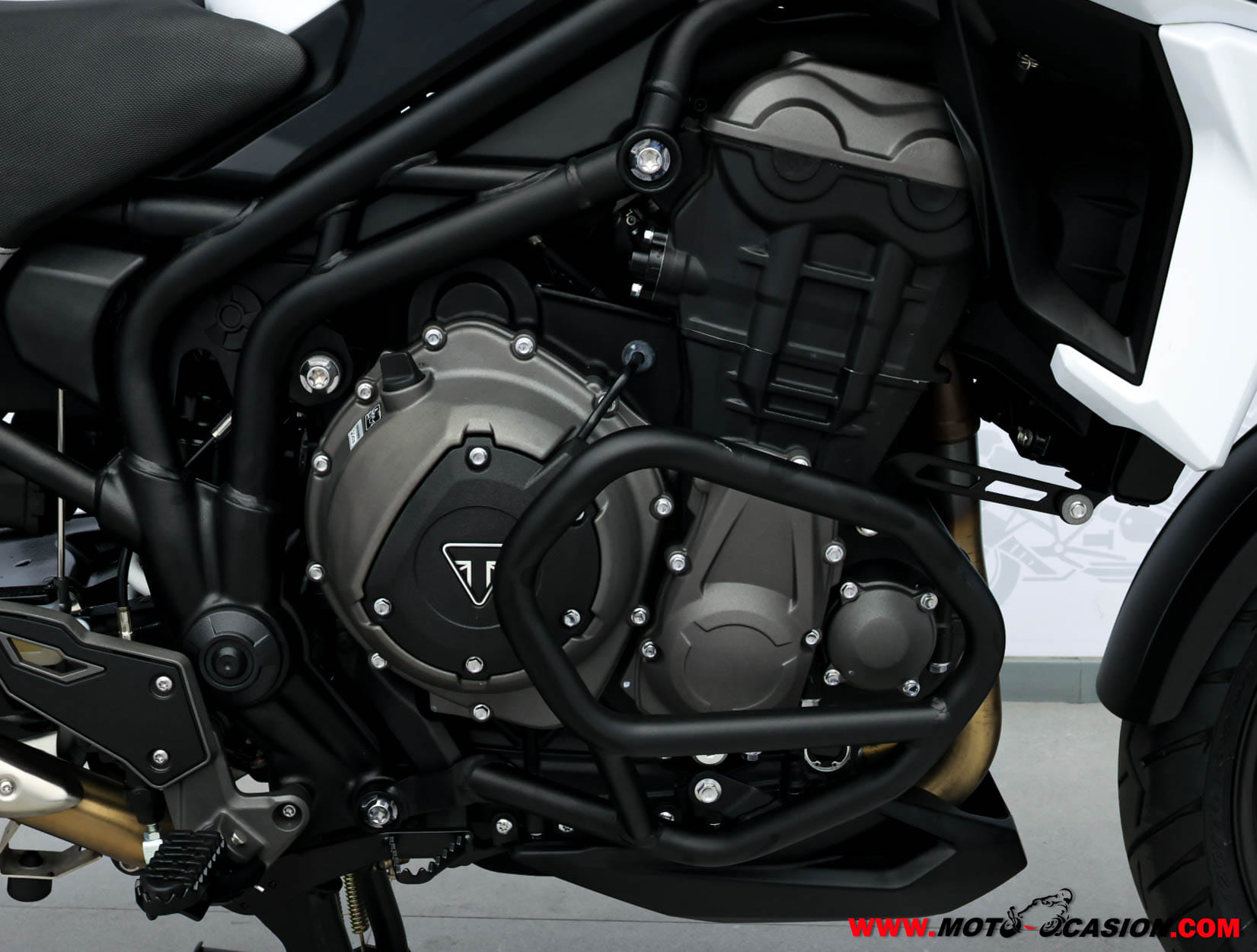 TRIUMPH TIGER 1200 ALPINE EDITION (copia)
