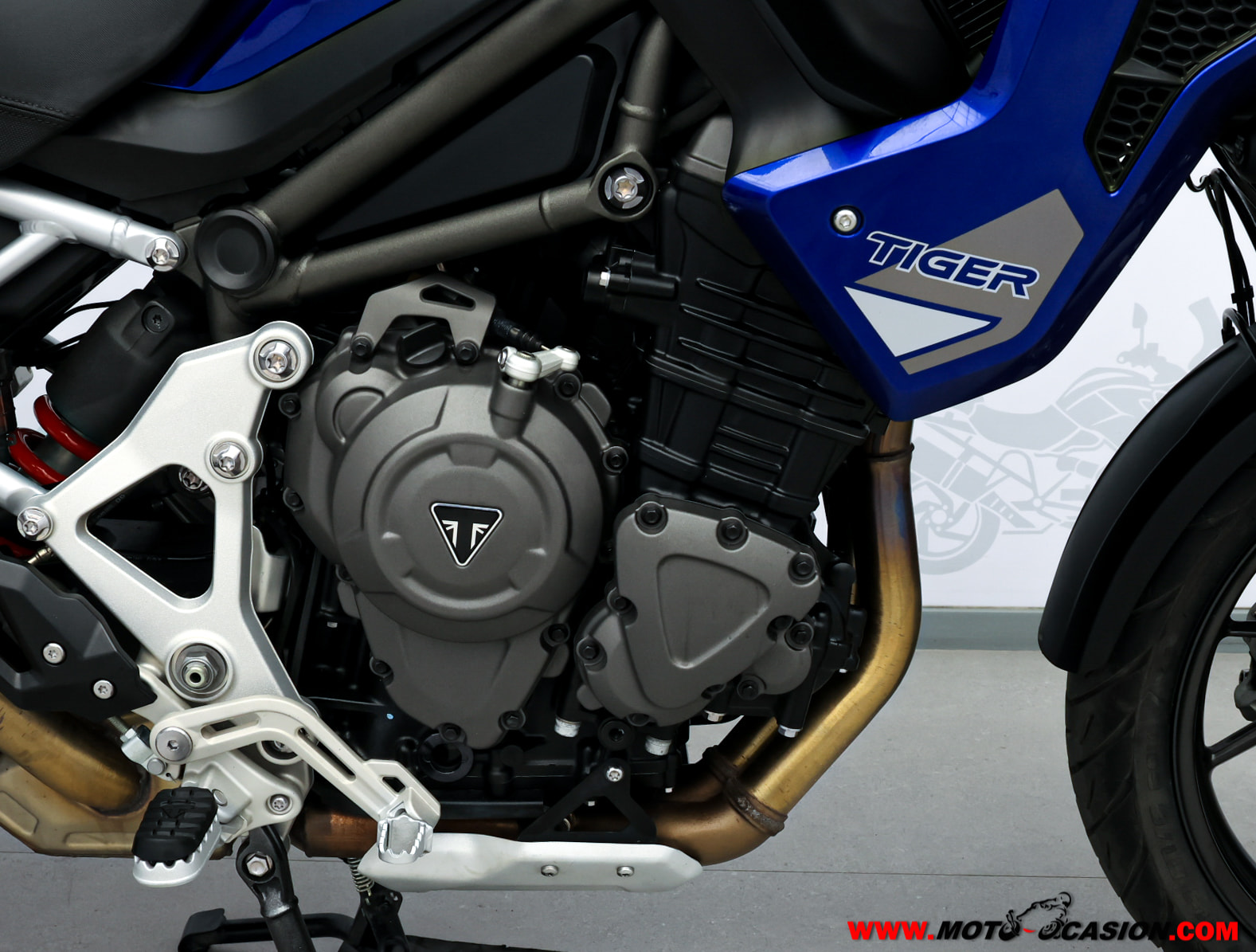 TRIUMPH TIGER 1200 GT PRO (copia)
