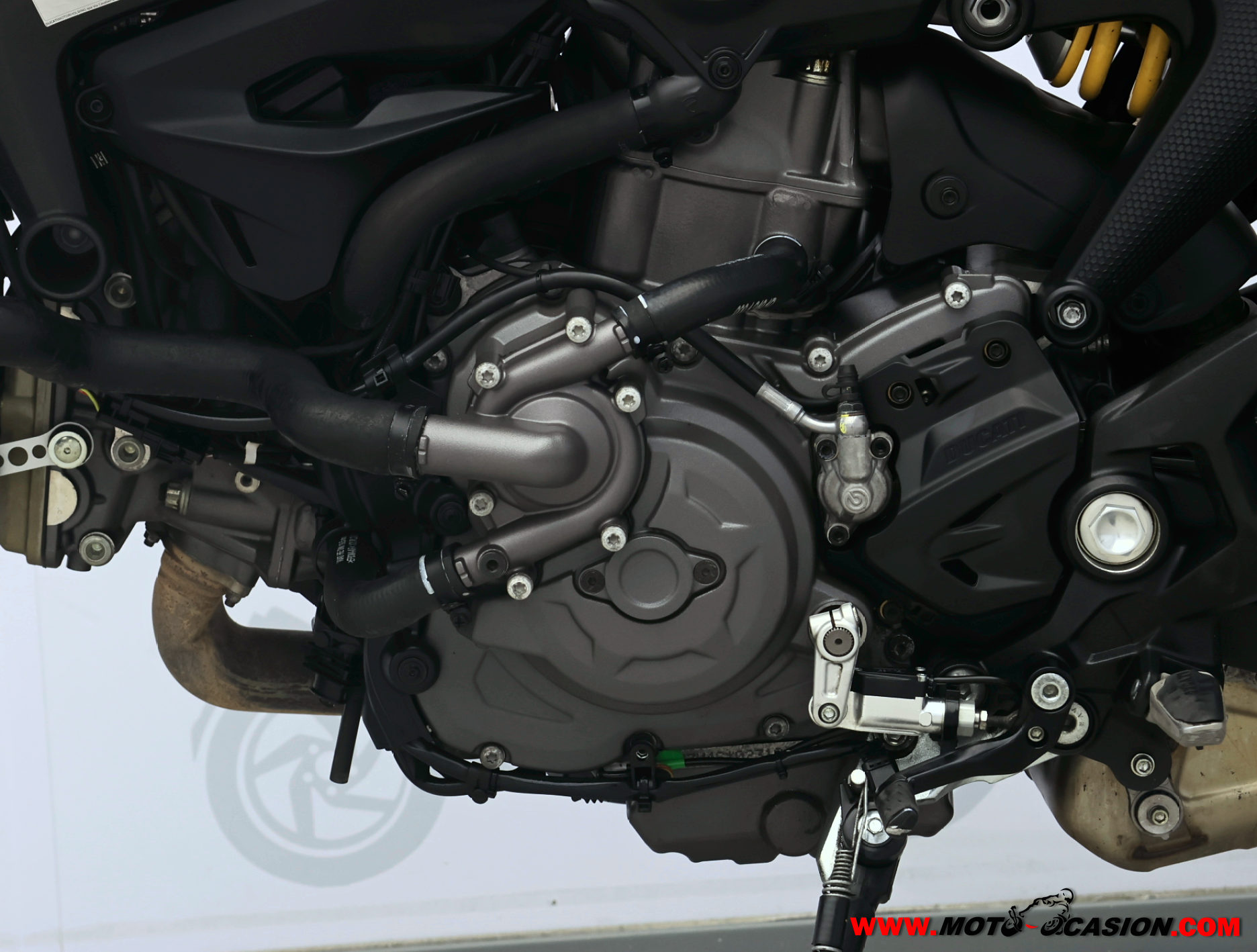 DUCATI MONSTER -GARANTÍA OFICIAL-