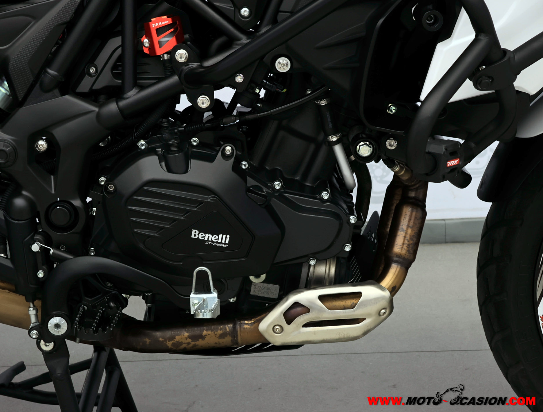 BENELLI TRK 502 X -APTA A2- (copia)