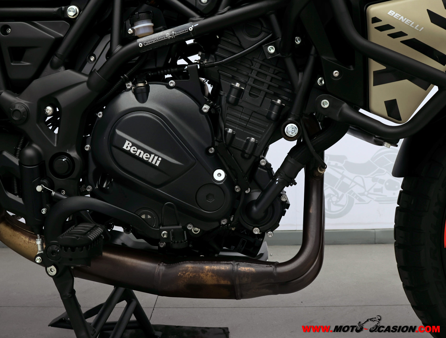 BENELLI TRK 702 X -A2- (copia)