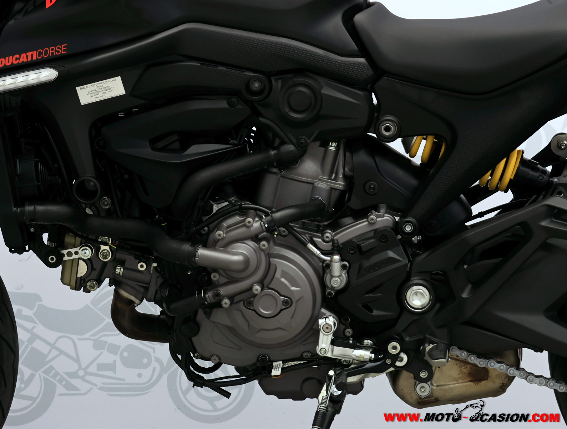 DUCATI MONSTER
