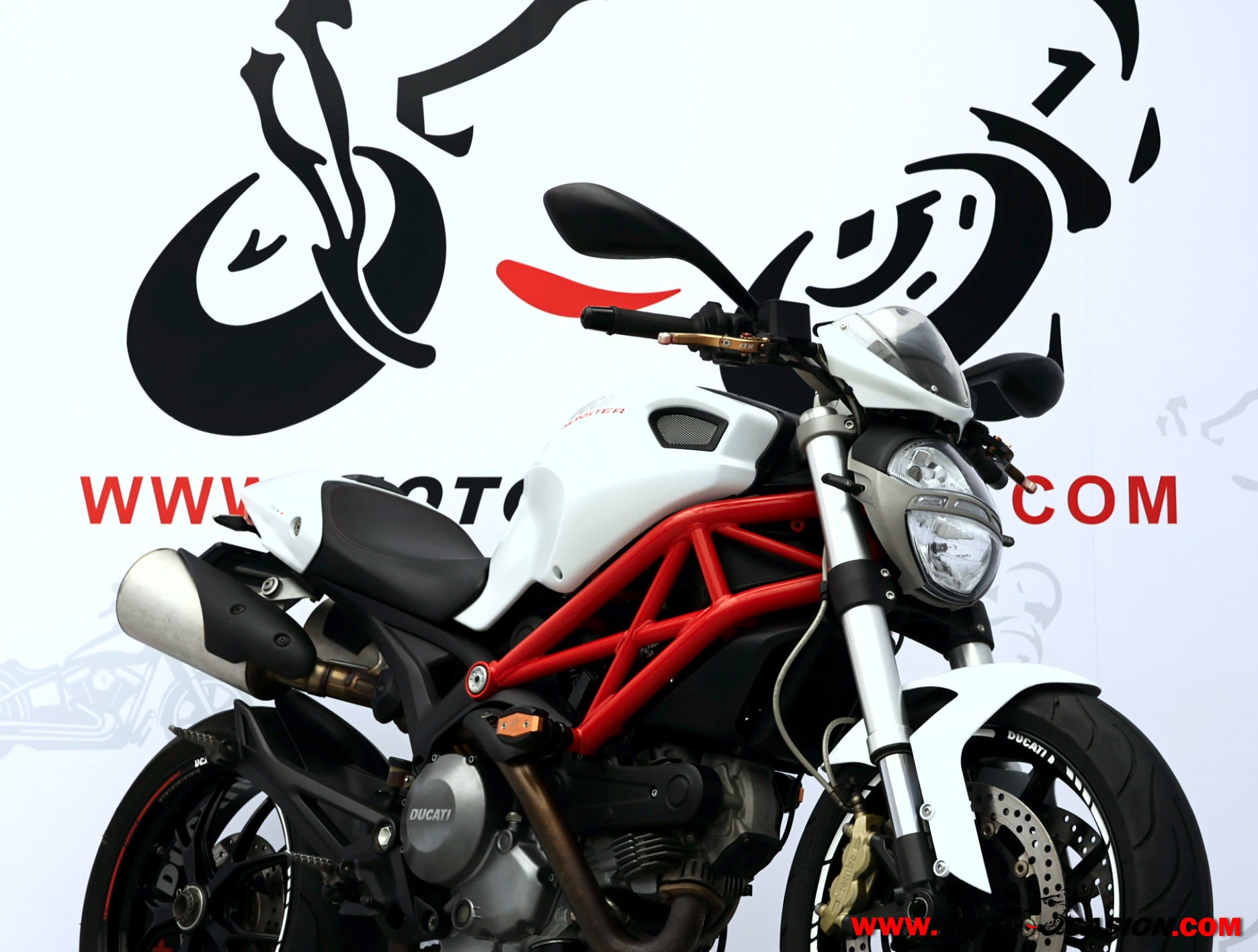 DUCATI MONSTER 796 -A2- (copia)