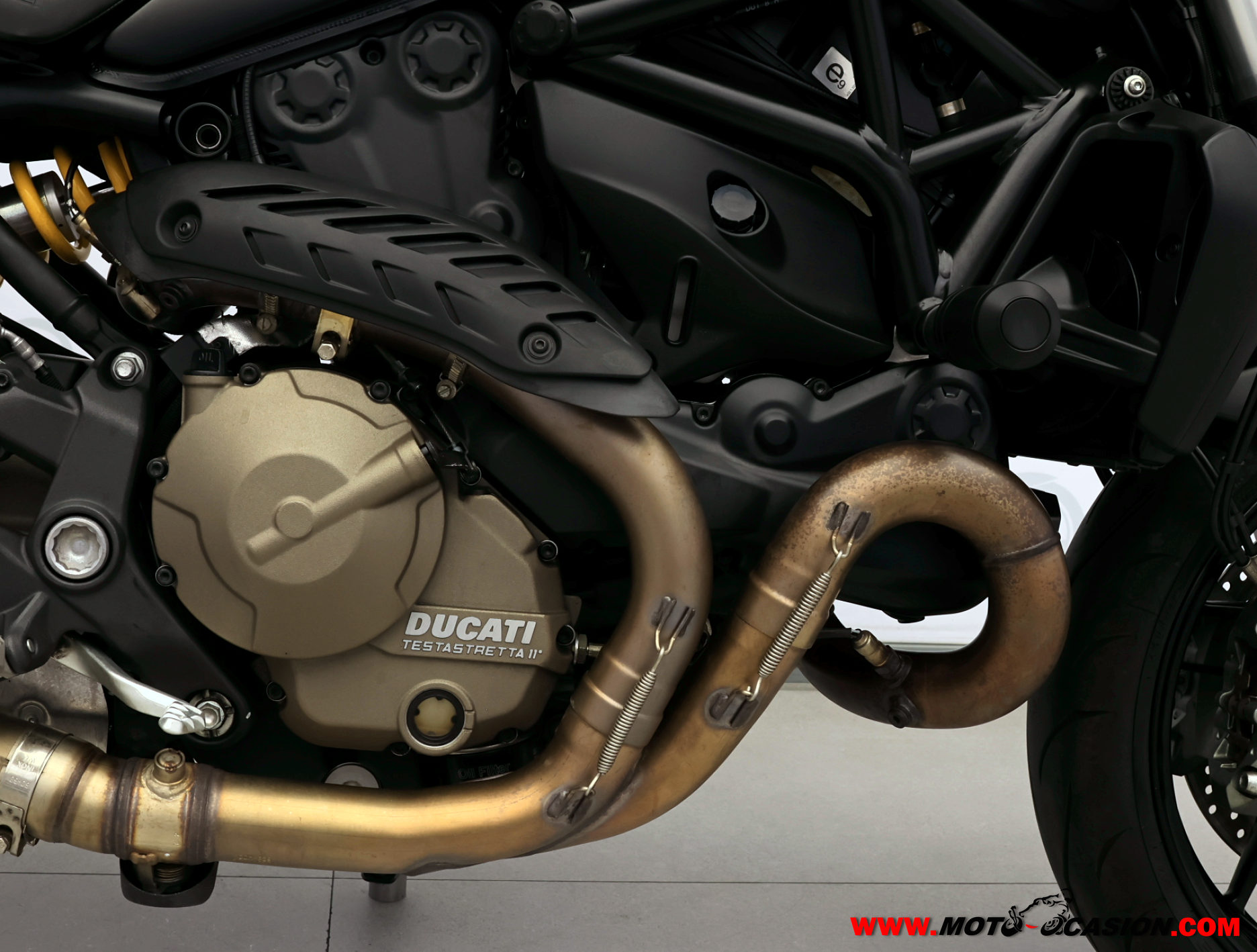 DUCATI MONSTER 821 DARK (copia)