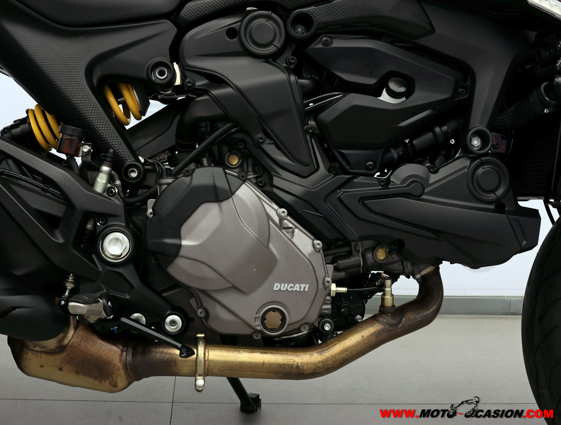 DUCATI MONSTER (copia)