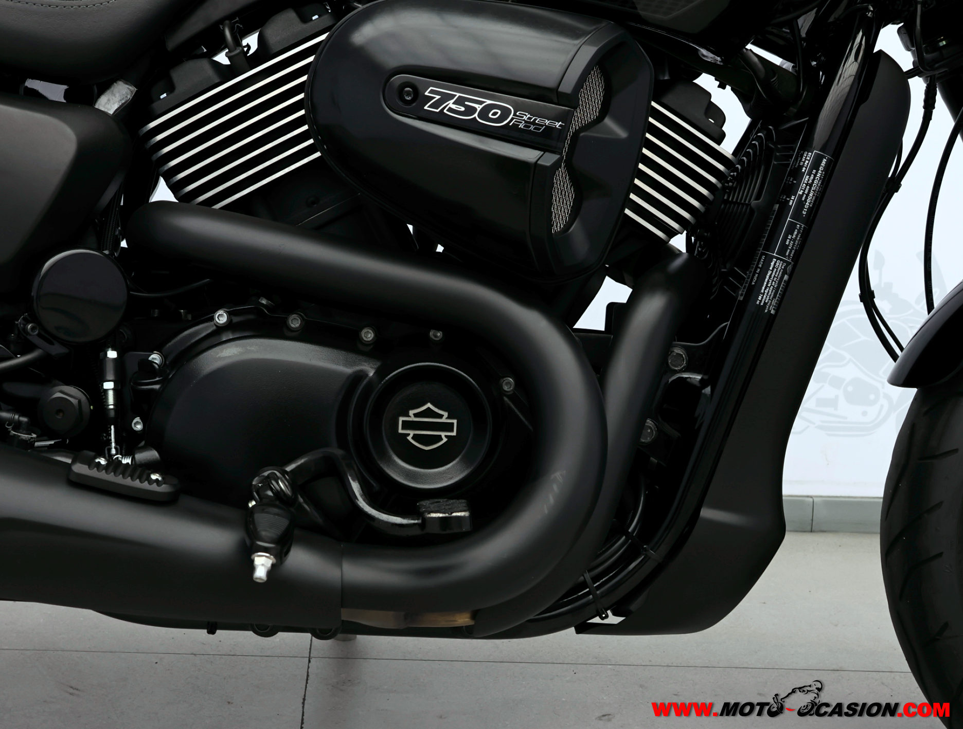 HARLEY-DAVIDSON STREET ROD ¿A2? (copia)