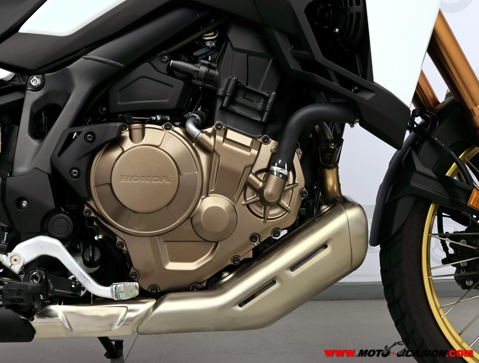 HONDA CRF 1100 AFRICA TWIN (copia)
