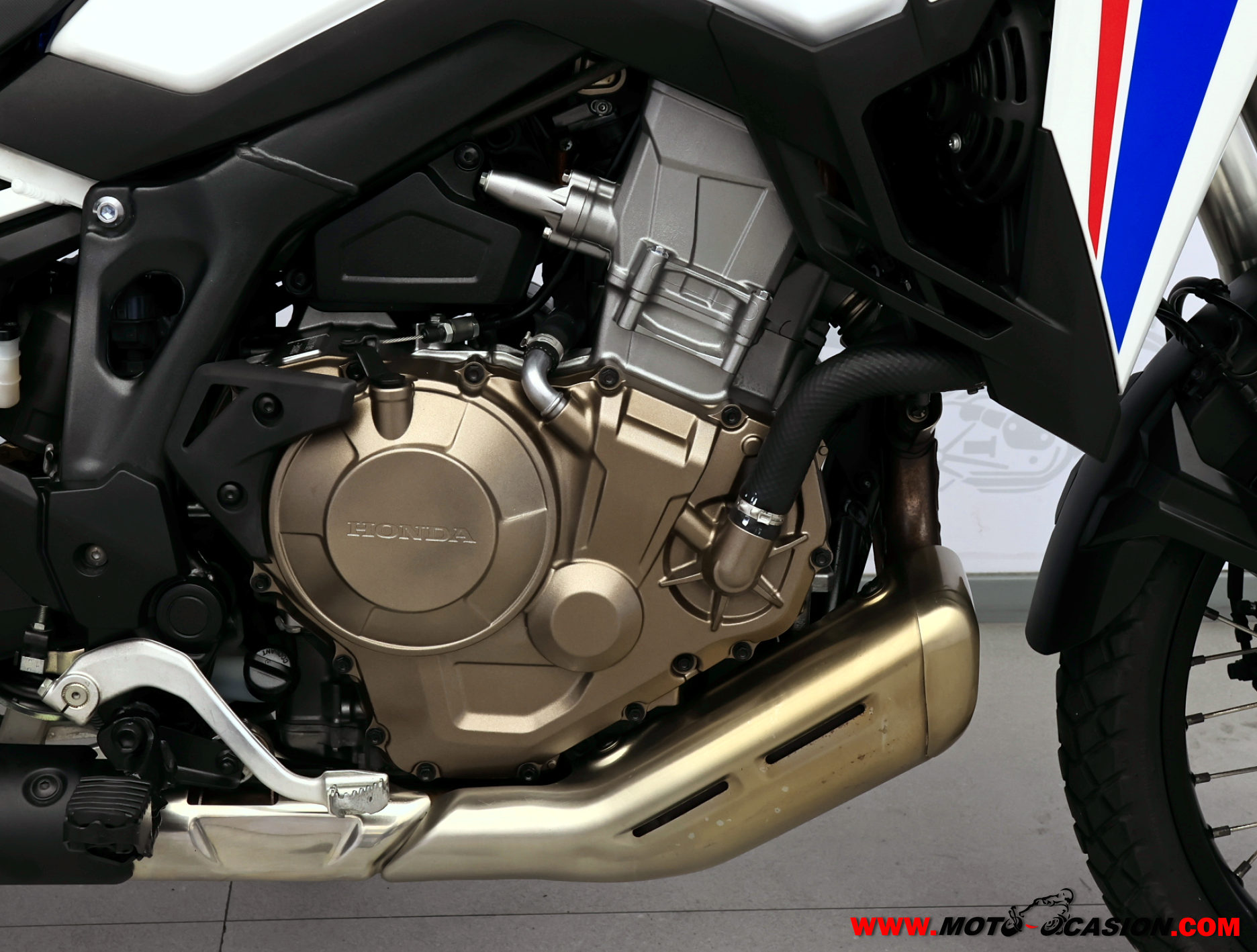 HONDA CRF 1100 AFRICA TWIN (copia)