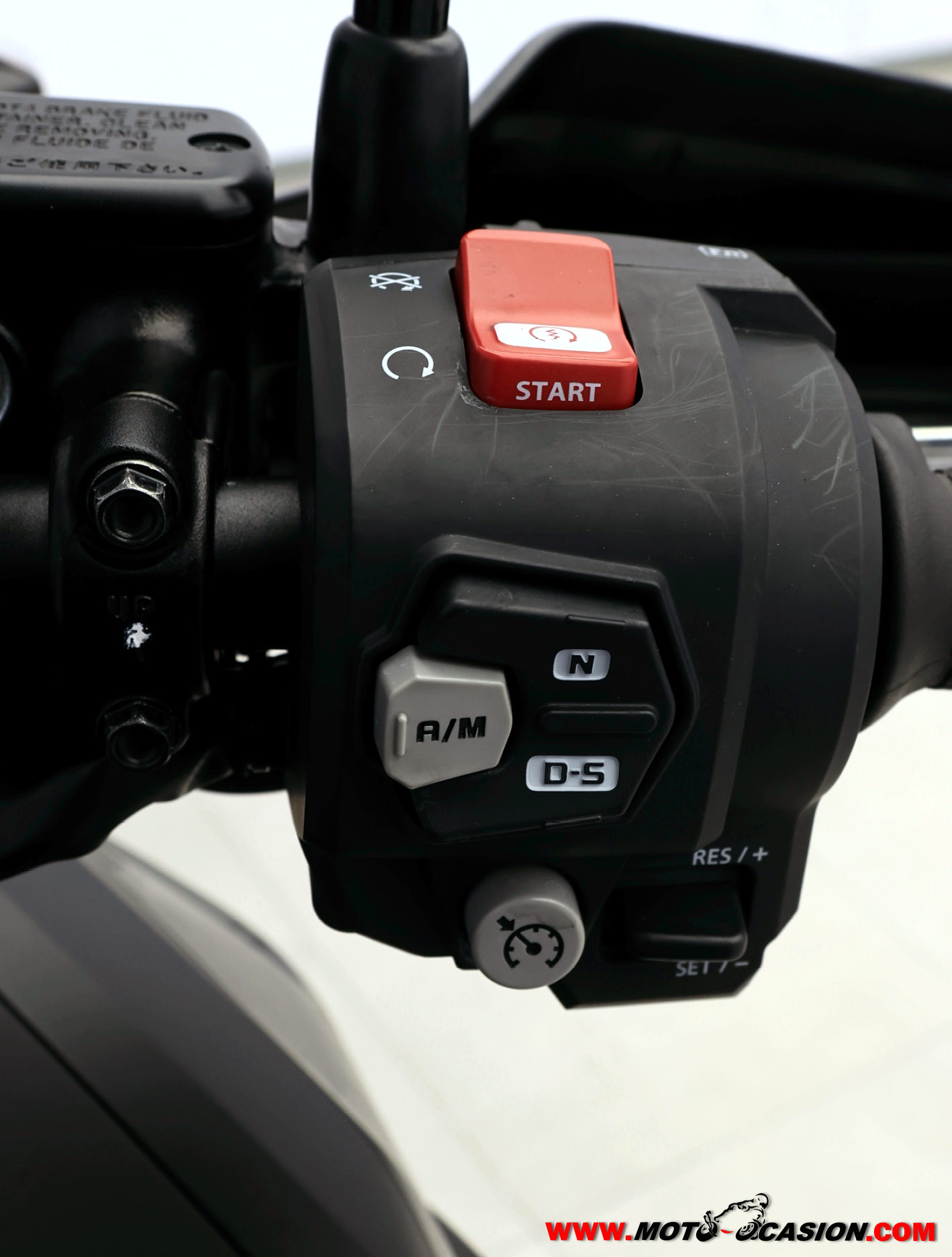 HONDA CRF 1100 AFRICA TWIN DCT -GARANTÍA OFICIAL-