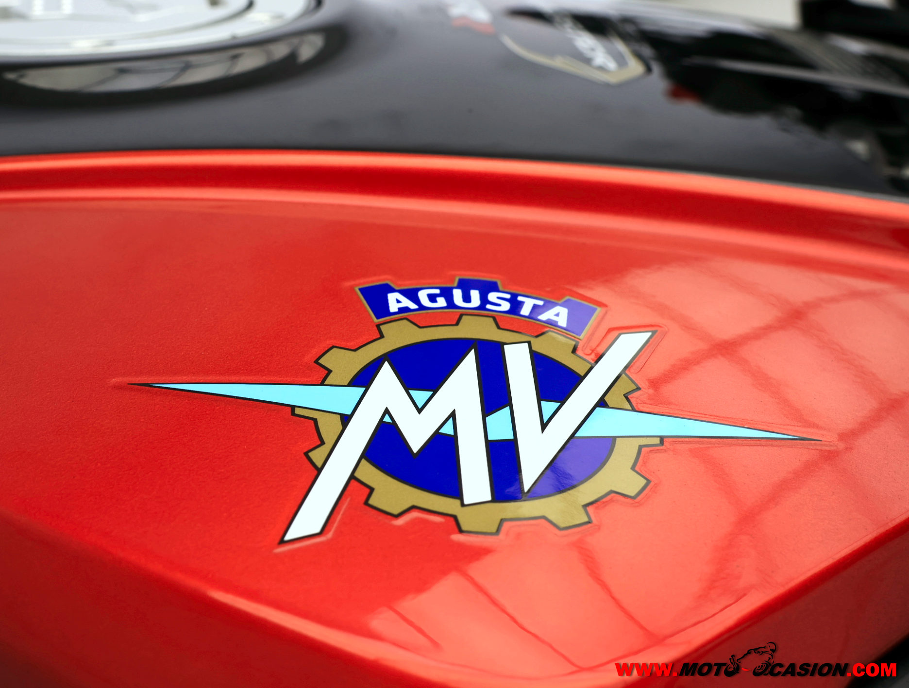 MV AGUSTA BRUTALE 800 DRAGSTER RR (copia)