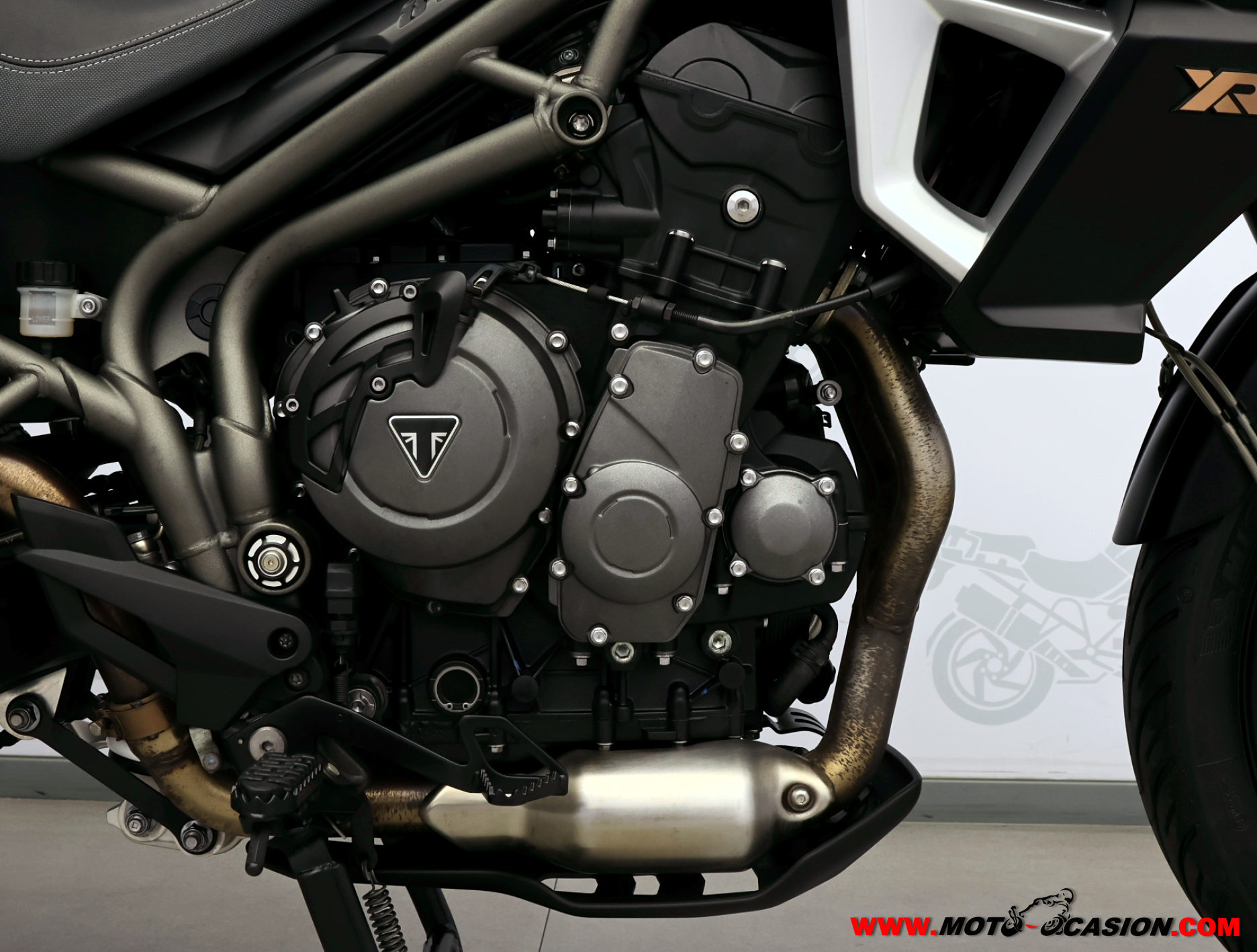 TRIUMPH TIGER 800 XRX ¿A2? (copia)