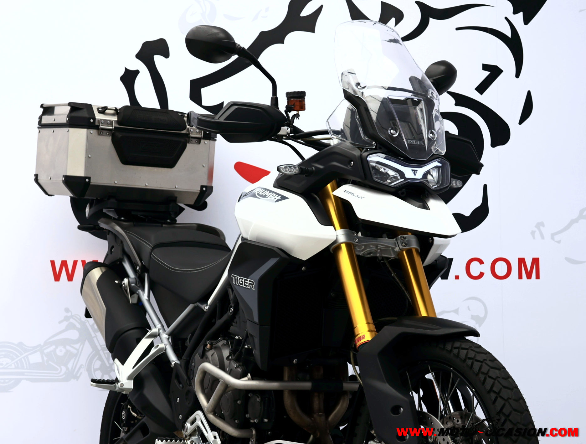 TRIUMPH TIGER 900 RALLY ¿A2? (copia)