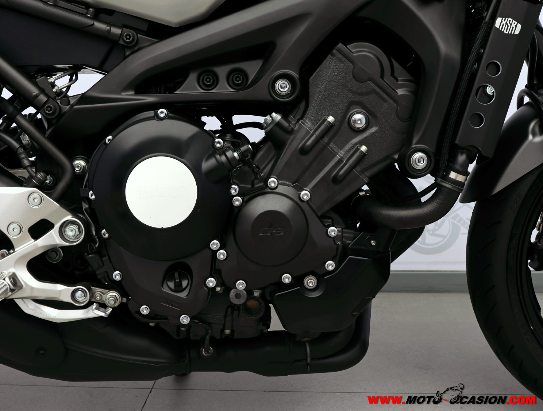 YAMAHA XSR 900 (copia)