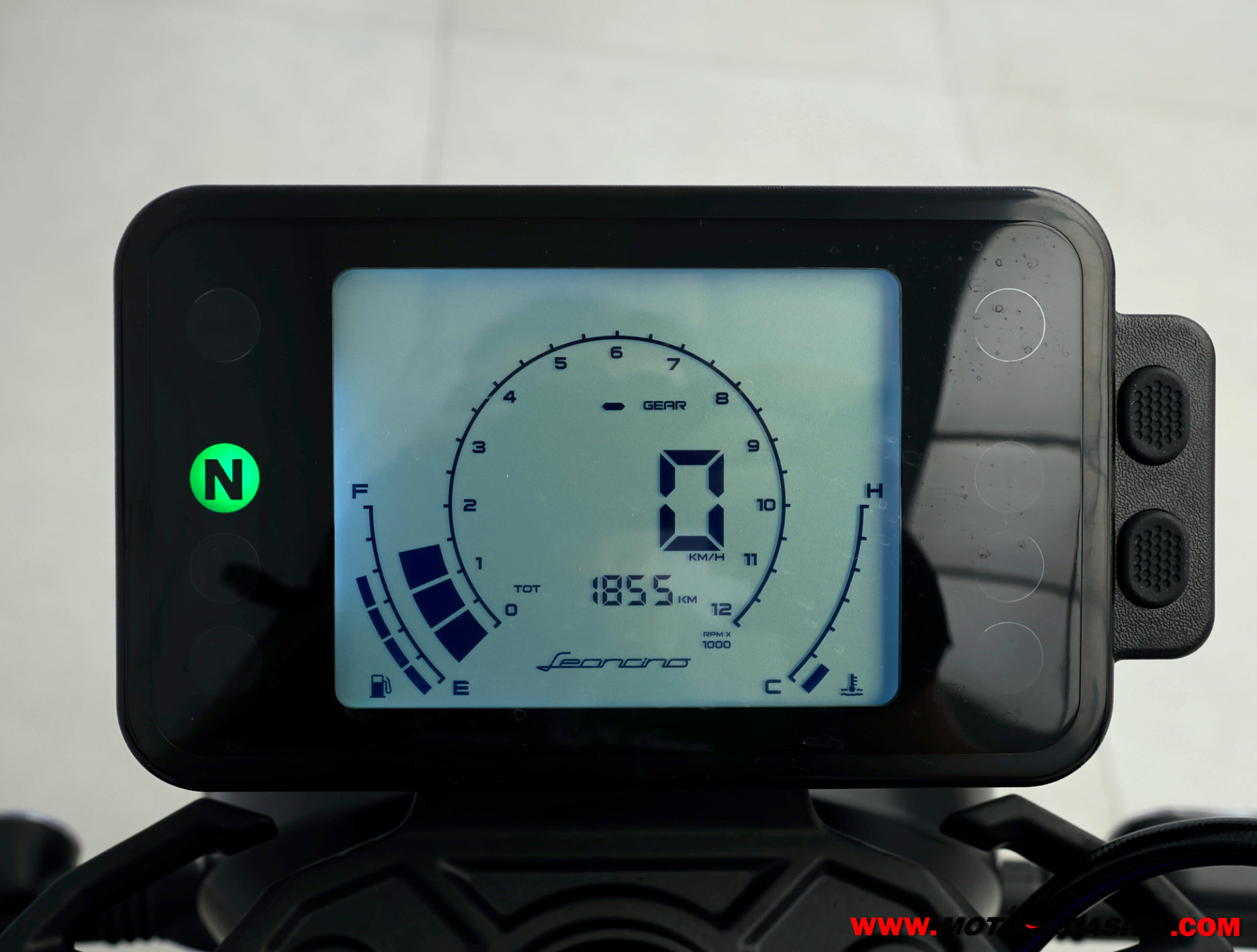 BENELLI LEONCINO 125 -APTA A2- GARANTÍA OFICIAL