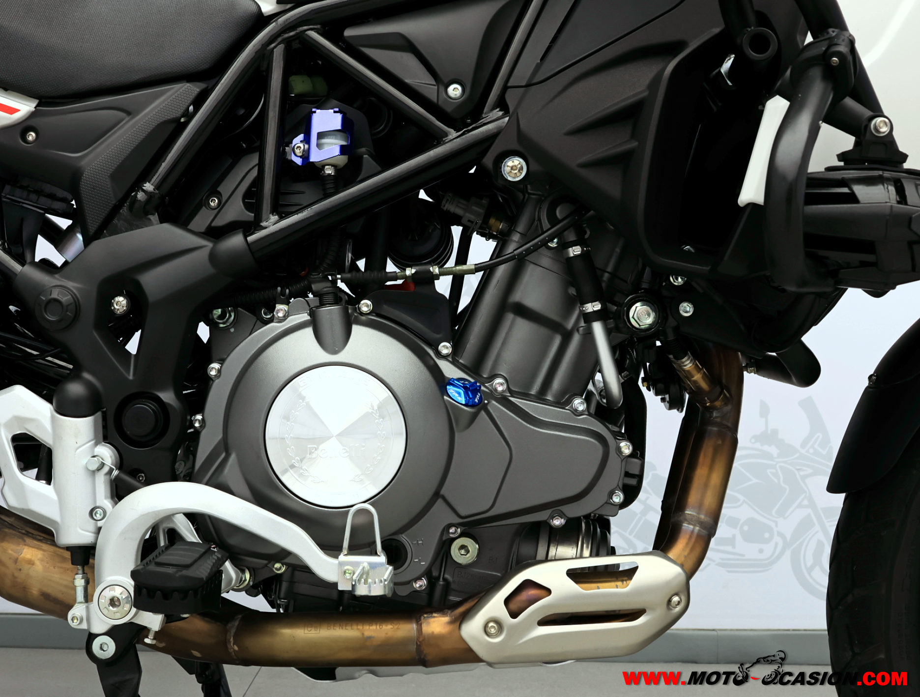 BENELLI TRK 502 X -APTA A2- (copia)
