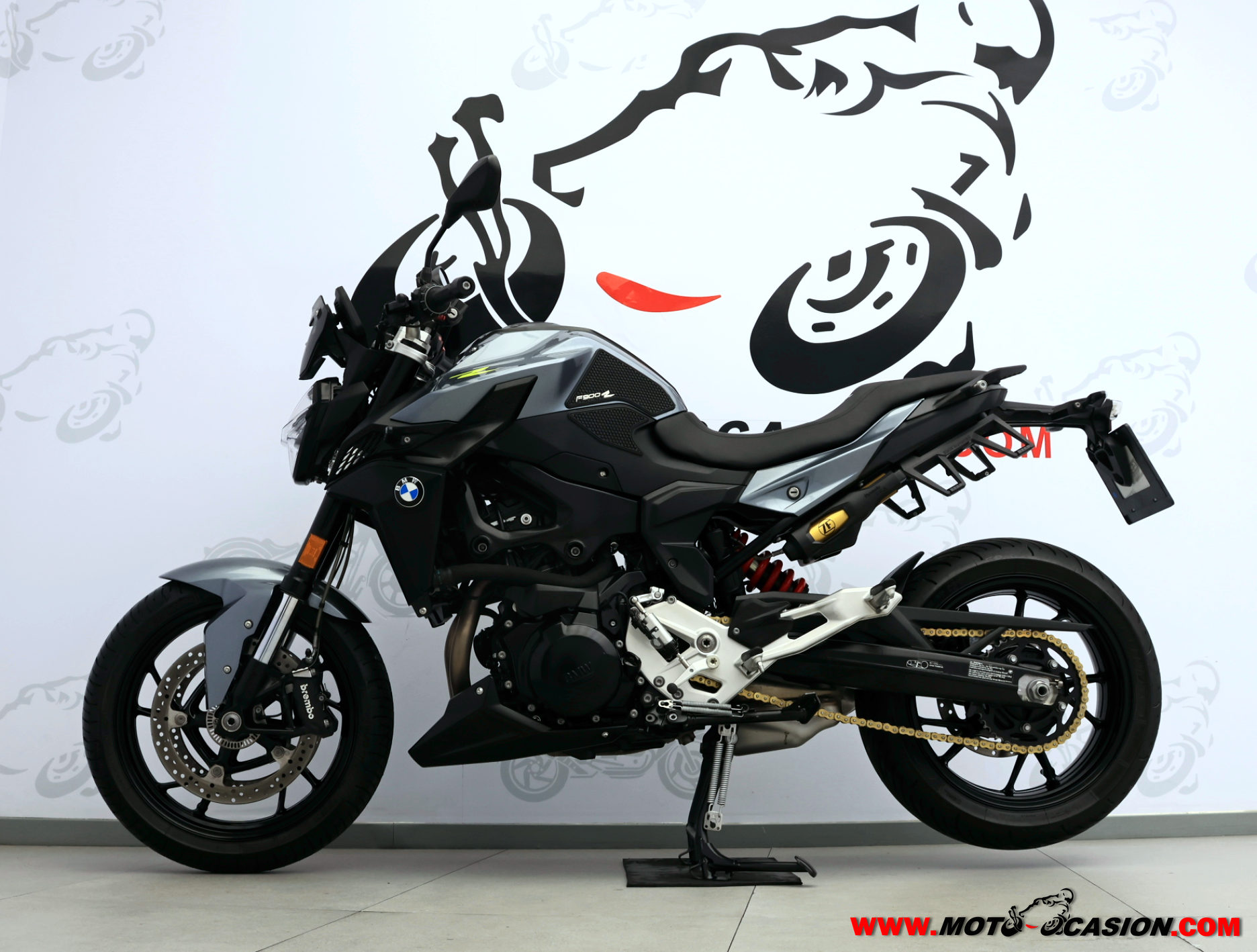 BMW F 900 R (copia)
