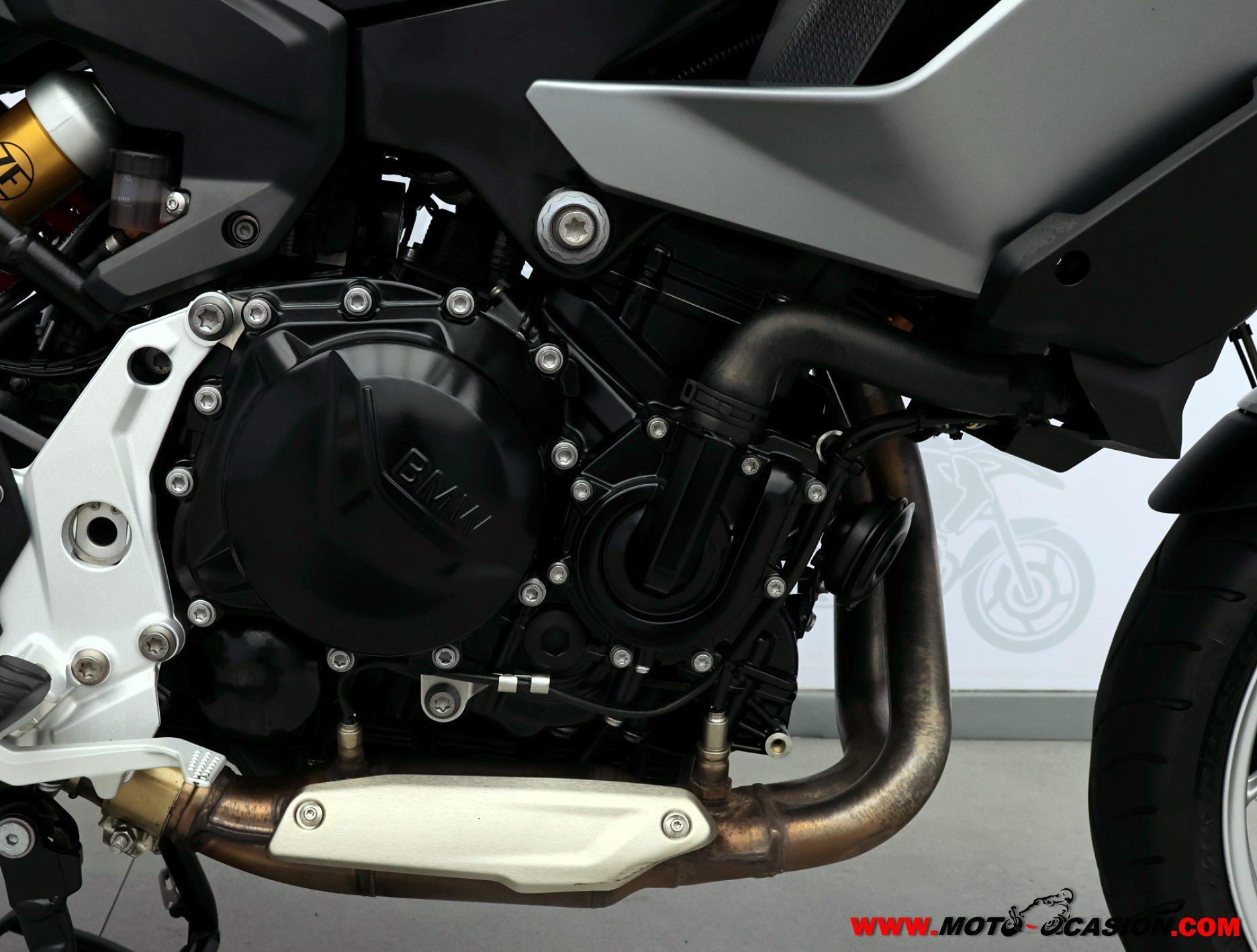 BMW F 900 XR (copia)