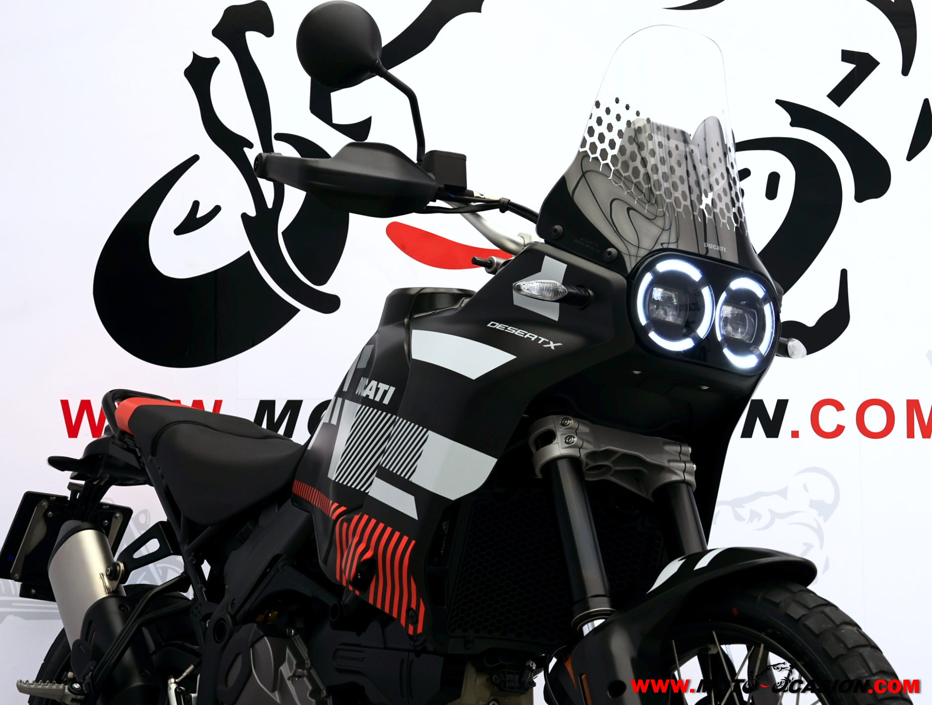 DUCATI DESERT X (copia)