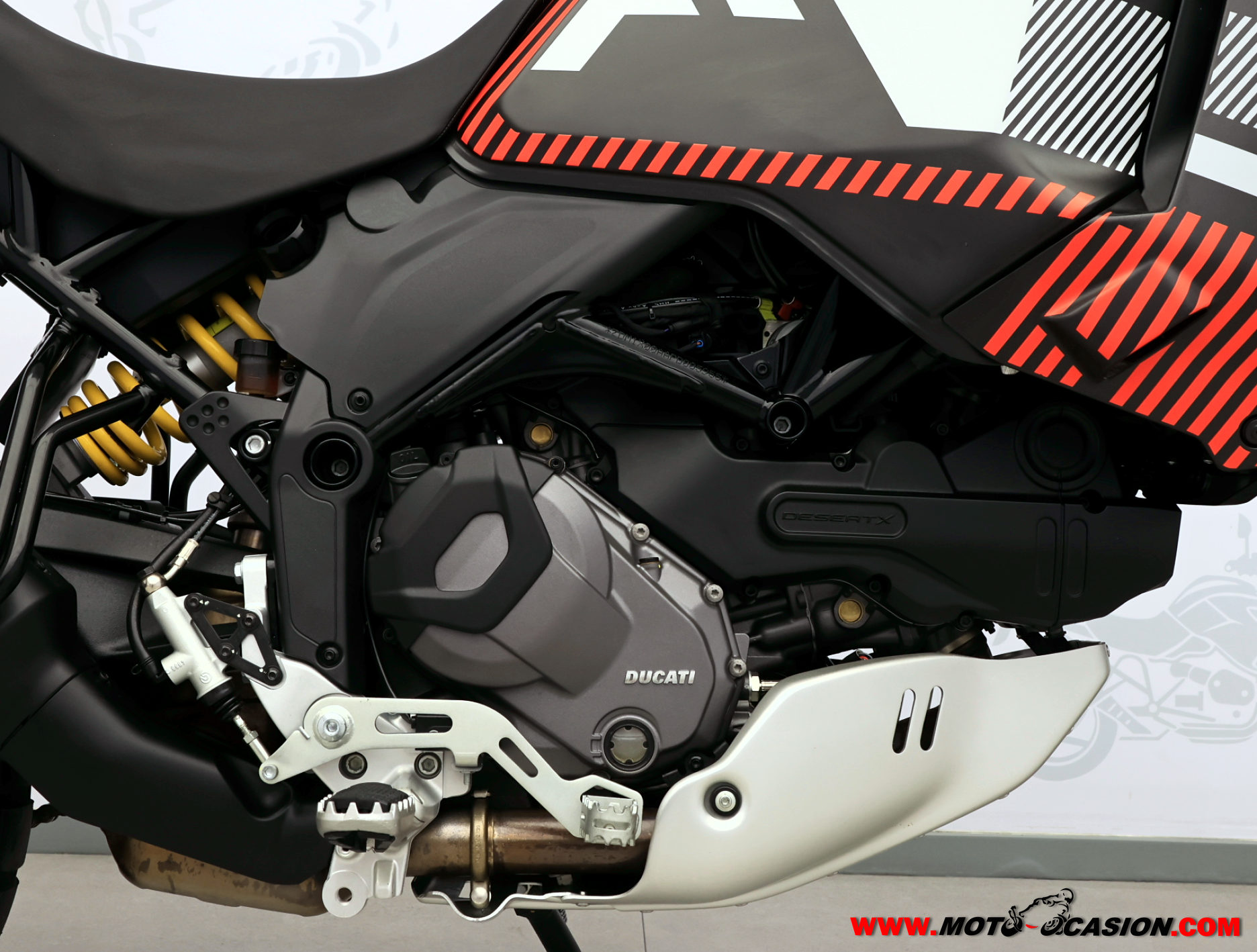 DUCATI DESERT X (copia)