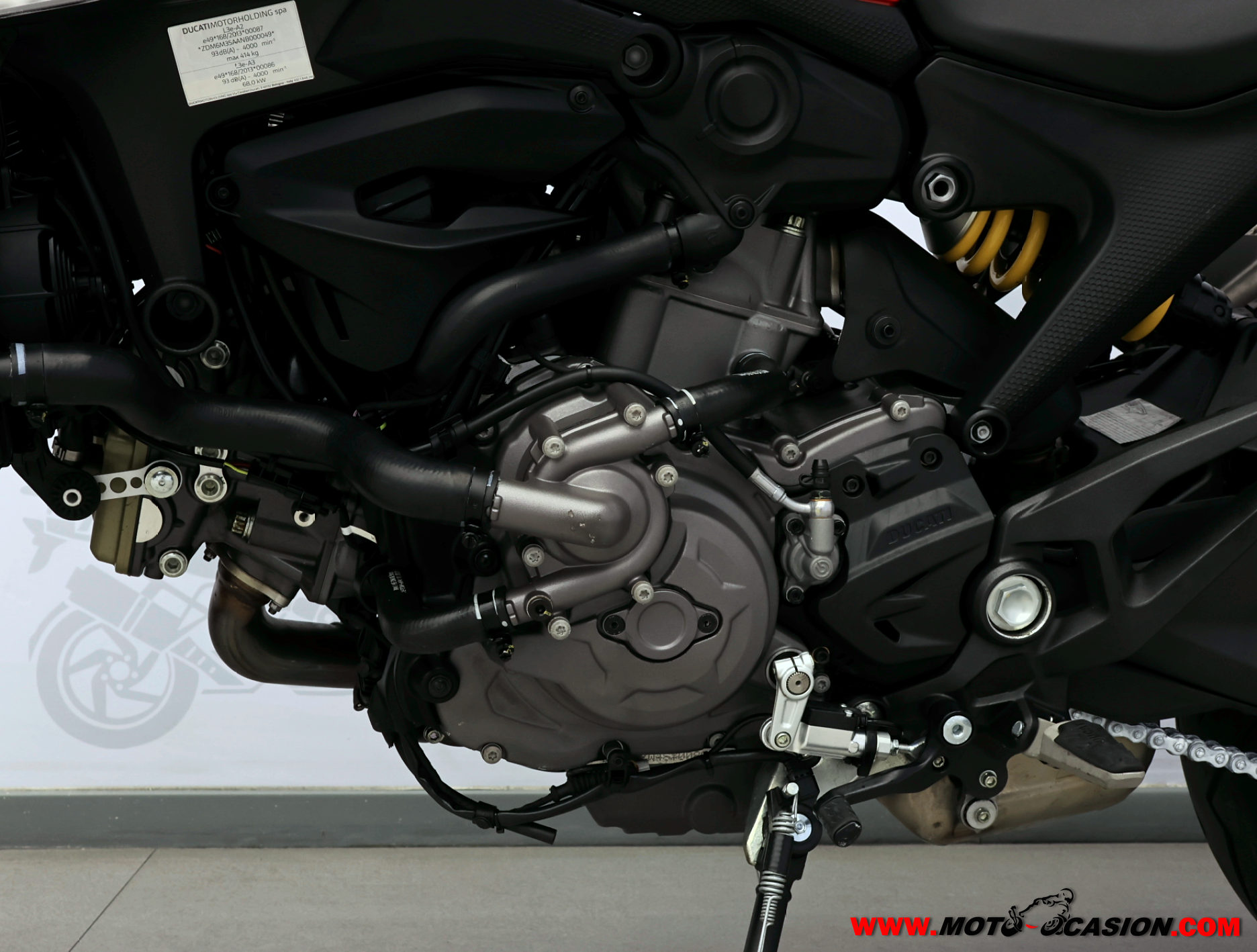 DUCATI MONSTER