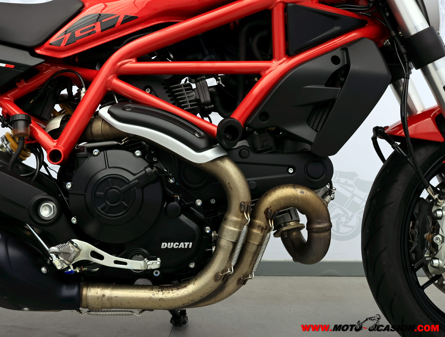 DUCATI MONSTER 797 -A2- (copia)