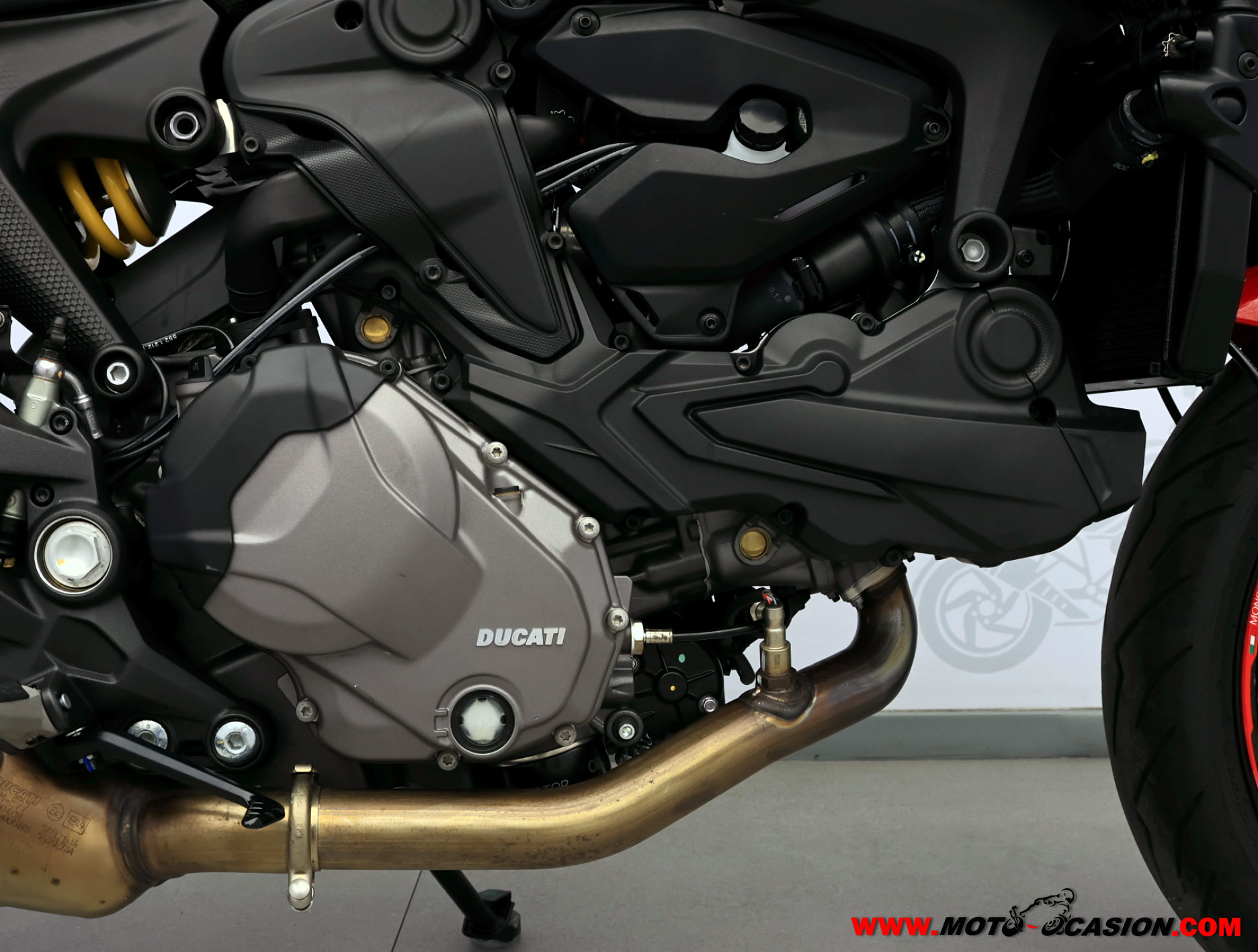 DUCATI MONSTER (copia)