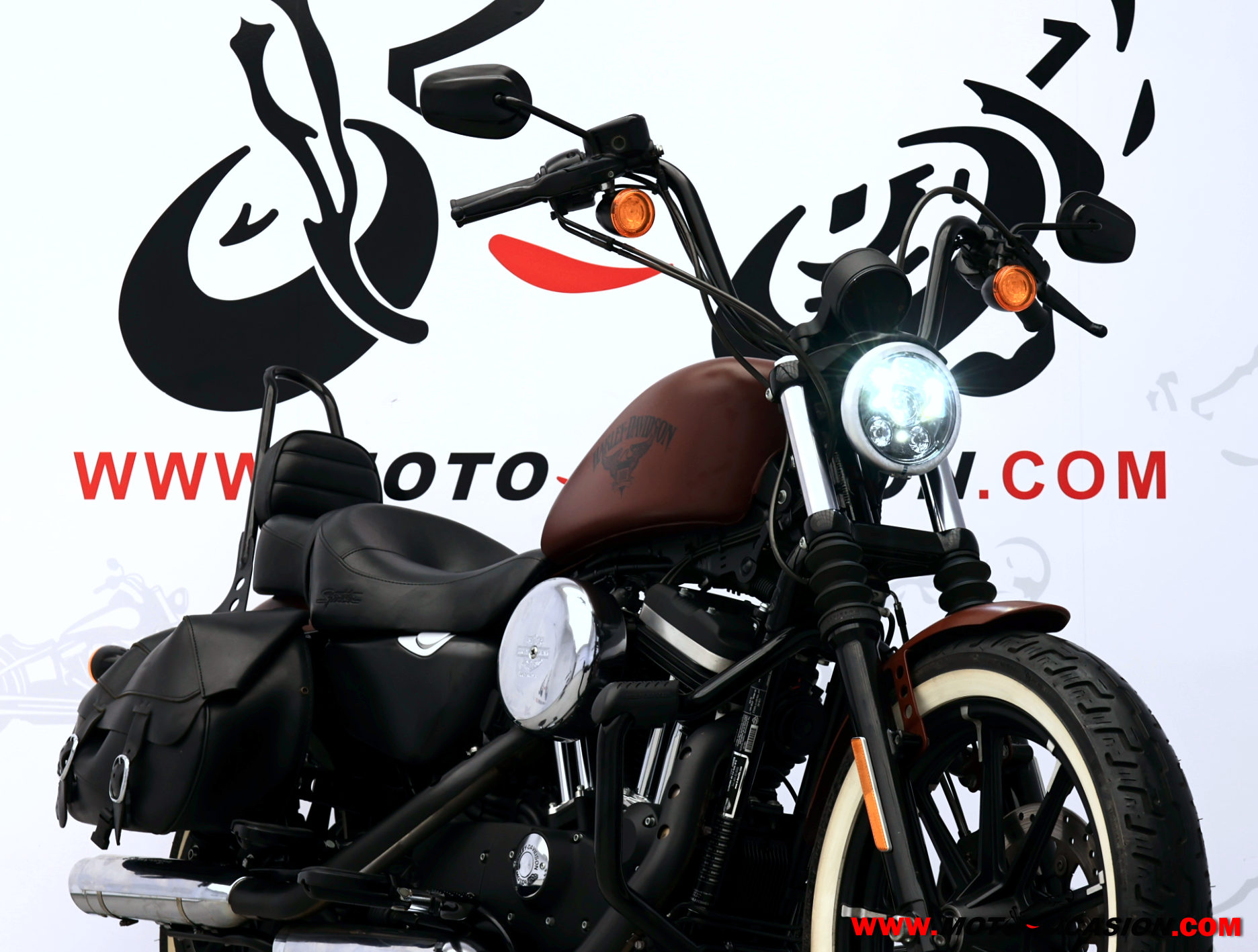 HARLEY-DAVIDSON SPORTSTER IRON 883 -A2- (copia)