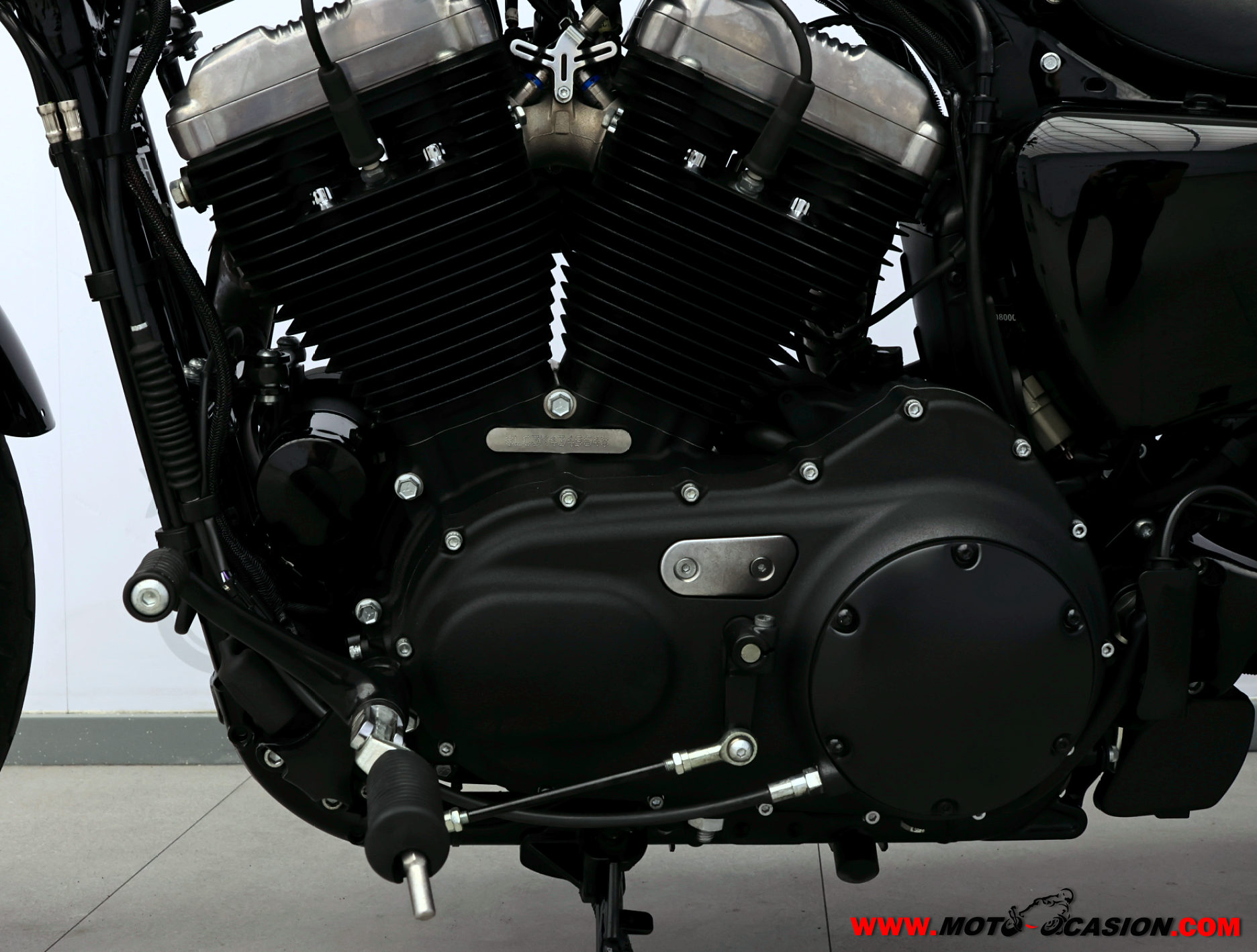 HARLEY-DAVIDSON XL 1200 CUSTOM (copia)
