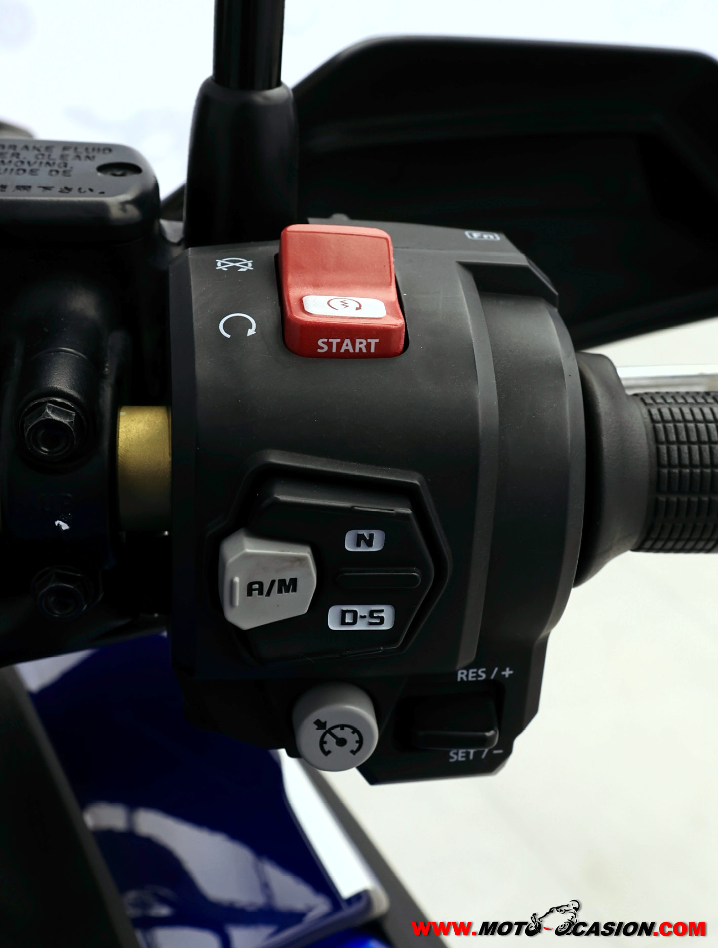HONDA CRF 1100 AFRICA TWIN ADVENTURE SPORTS DCT