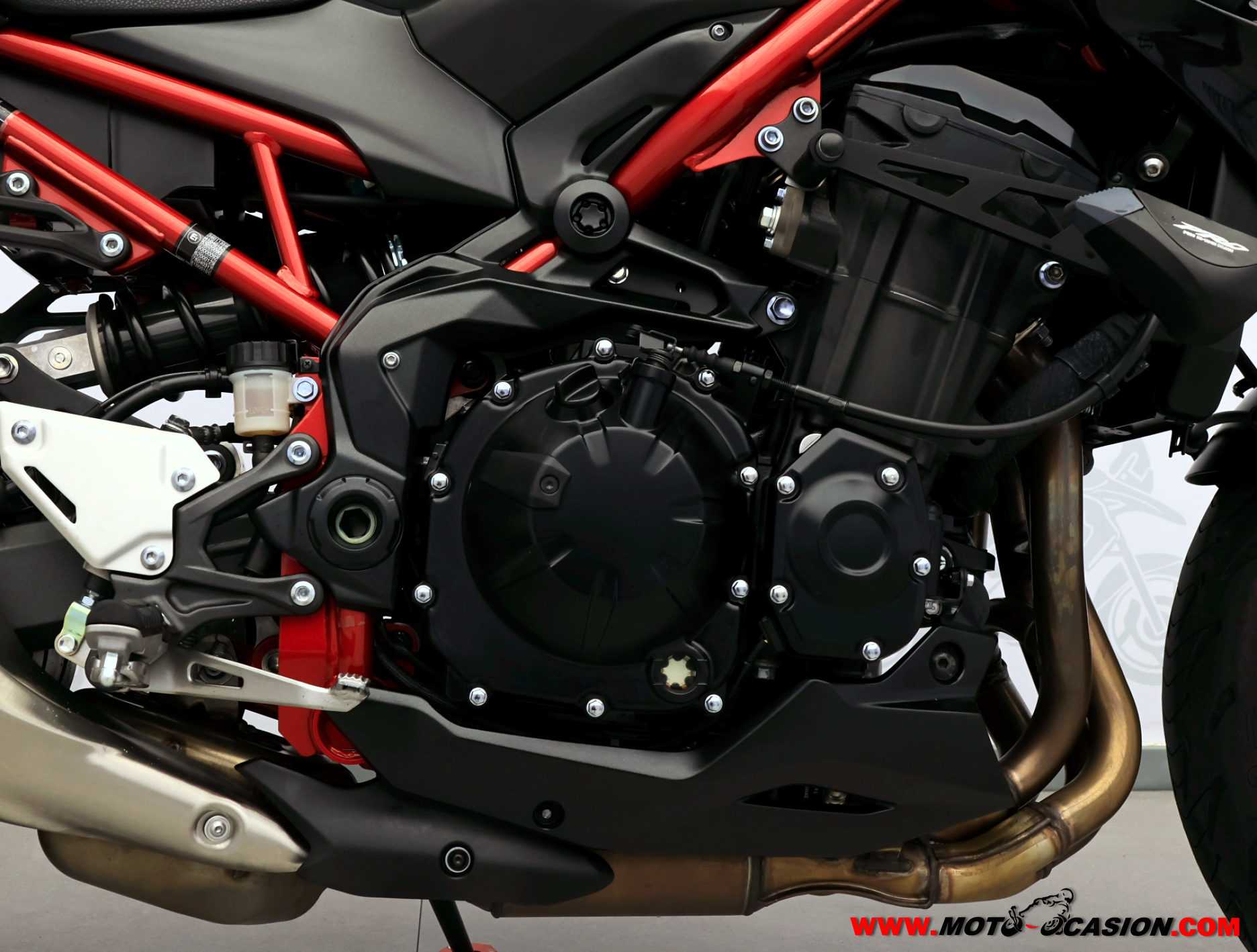 KAWASAKI Z 900 (copia)