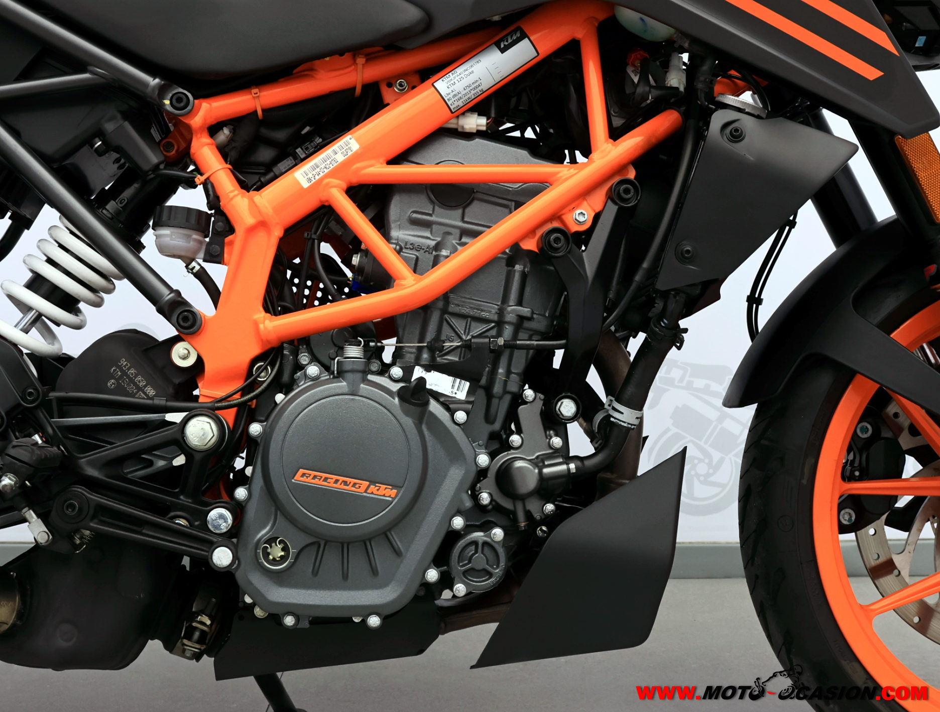 KTM 125 DUKE -APTA B Y A1- (copia)