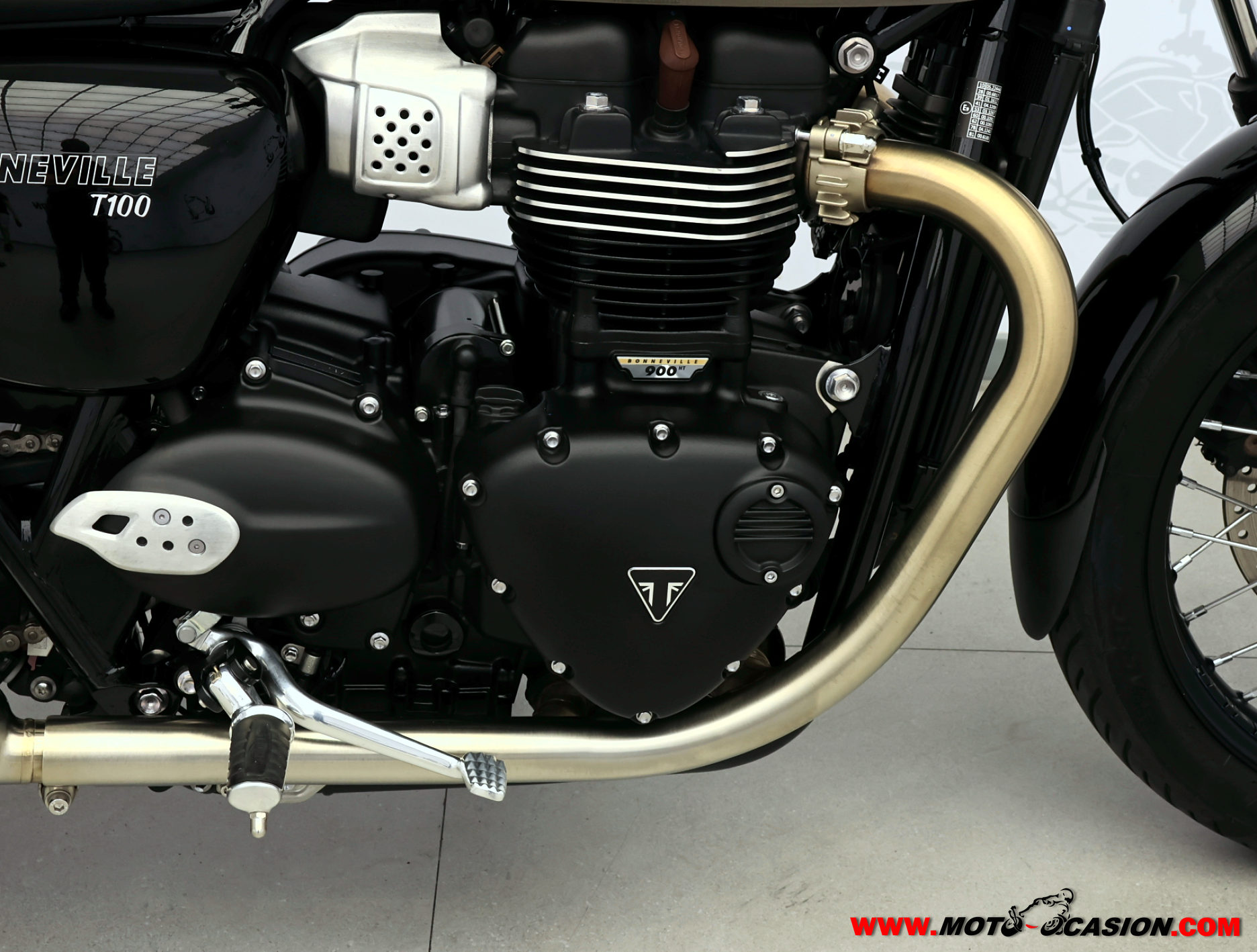 TRIUMPH BONNEVILLE T100 ¿A2? GARANTÍA OFICIAL