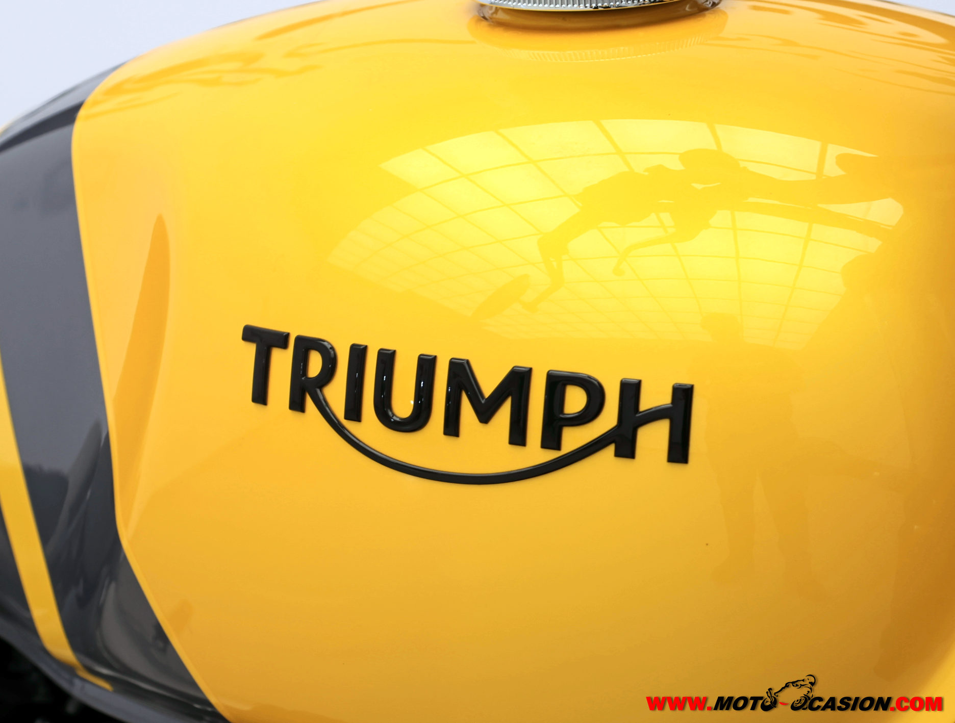 TRIUMPH SCRAMBLER 9 -A2-