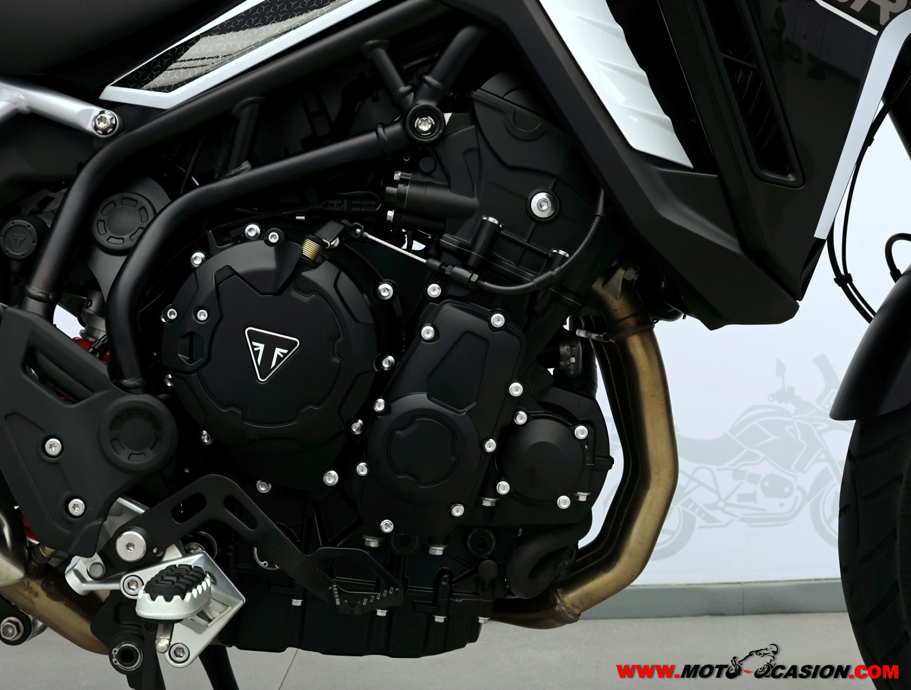 TRIUMPH TIGER 900 GT PRO -A2- GARANTÍA OFICIAL (copia)